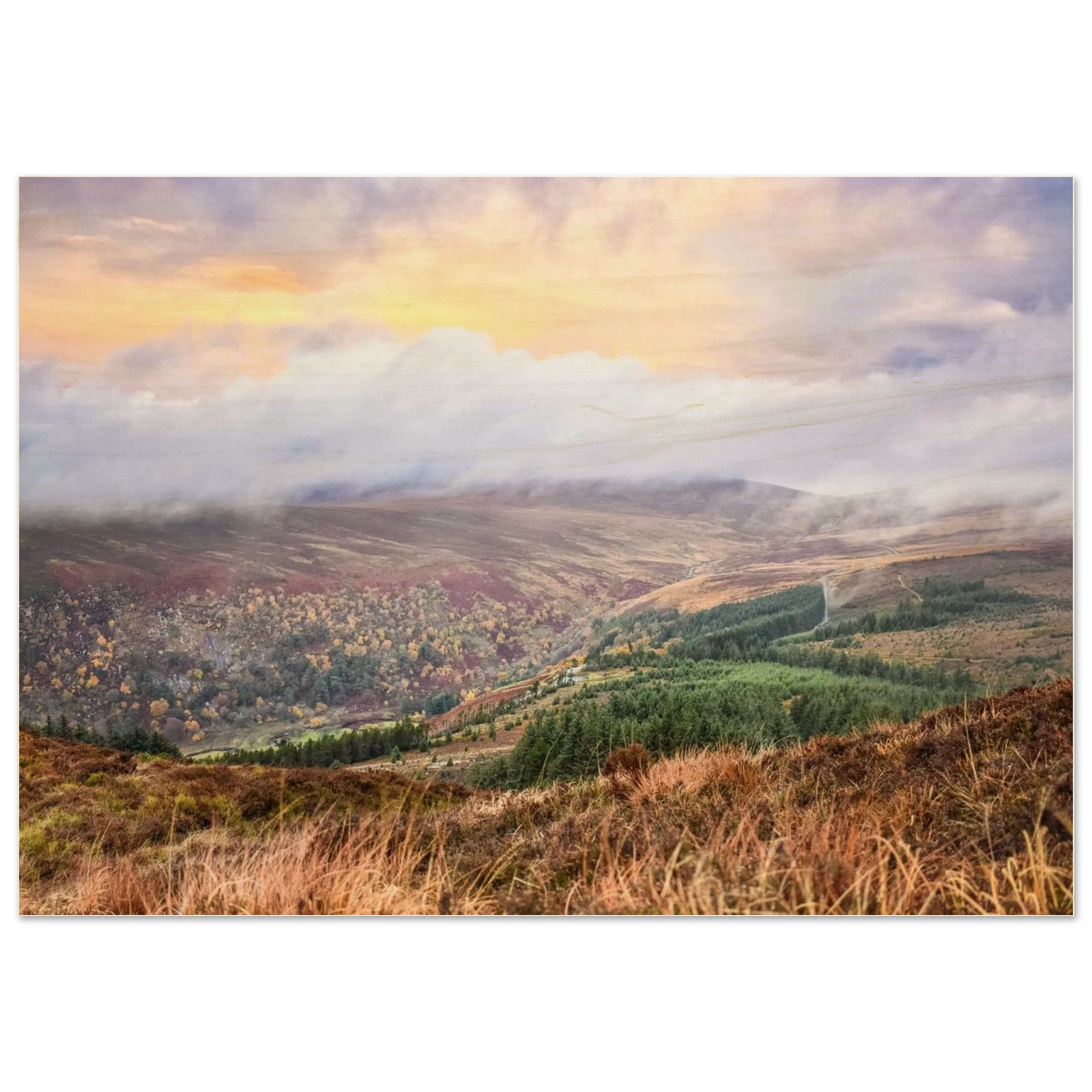 a56f9d8a-9eb9-447d-b8b3-4a012892f87b