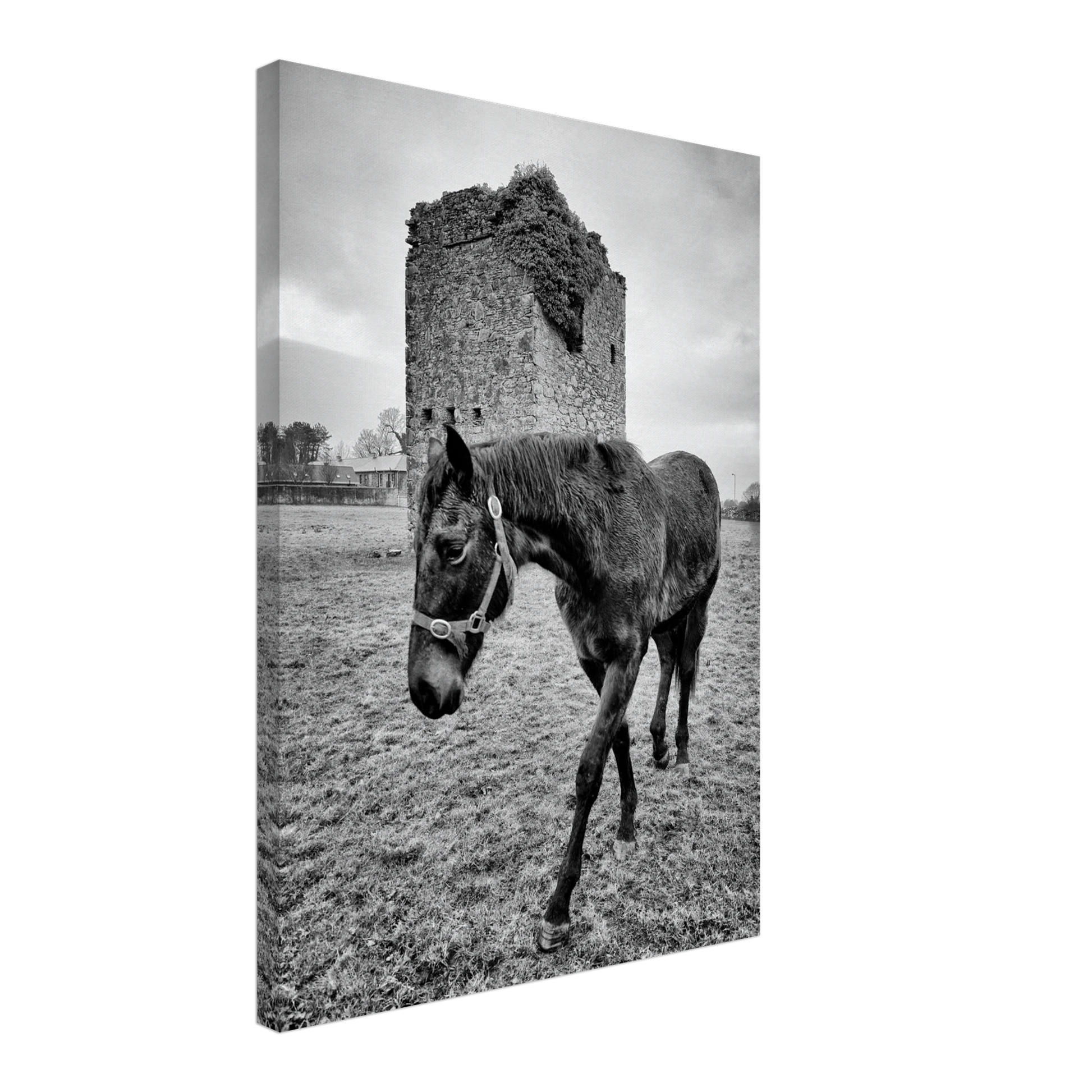 a5cfdb52-dc99-4272-a176-a13a7712394f