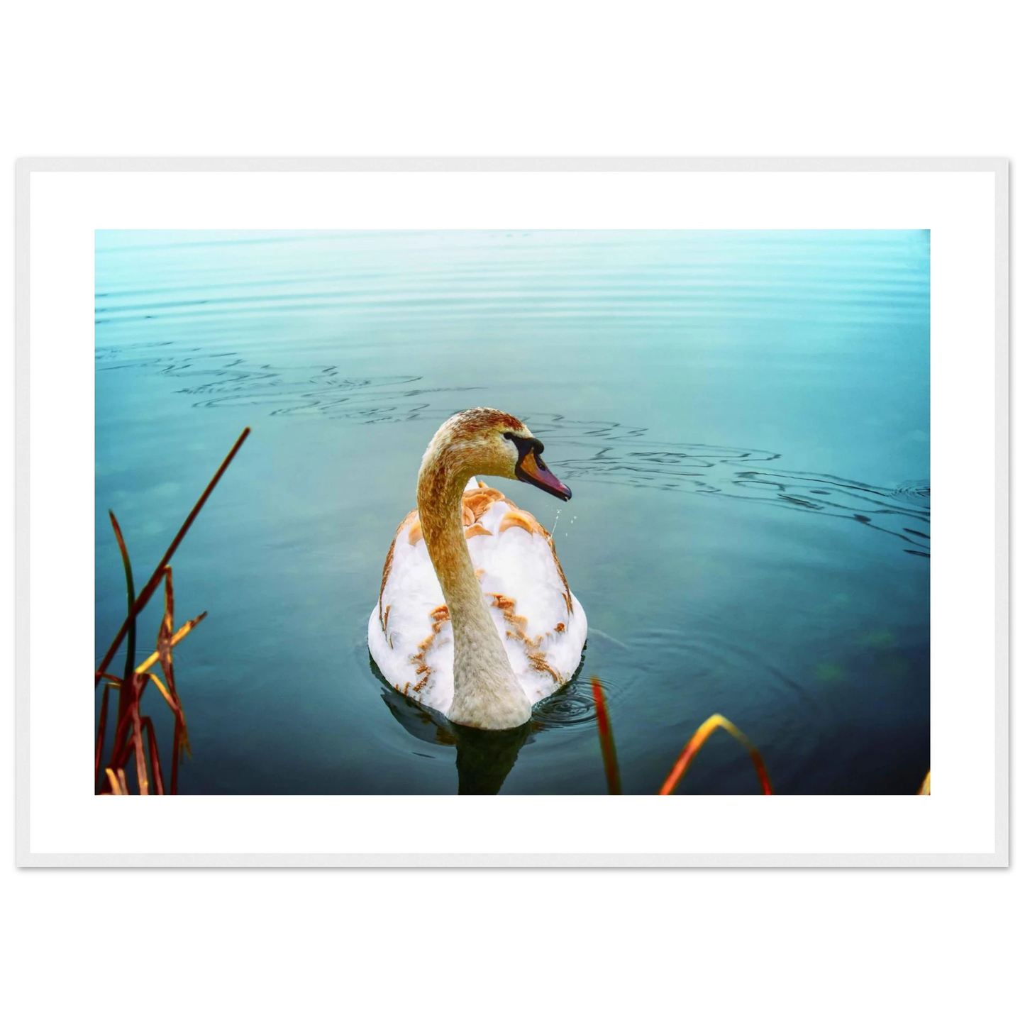 a5e93b4b-f10e-438f-909d-15aa2bcbd719