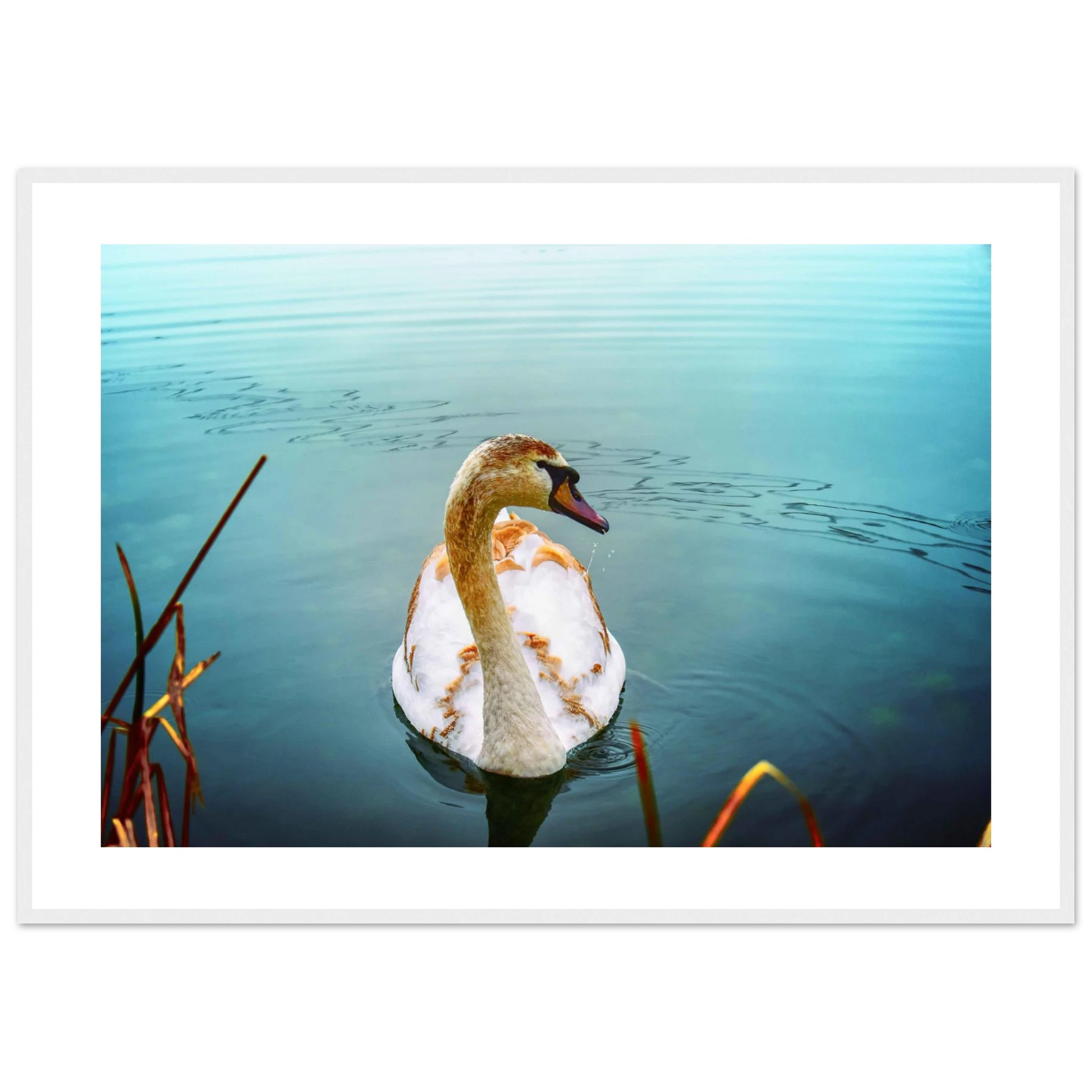 a5e93b4b-f10e-438f-909d-15aa2bcbd719