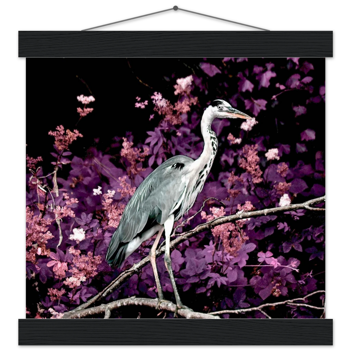 a61a5e65-0c5b-436a-b8fe-497ab8968594