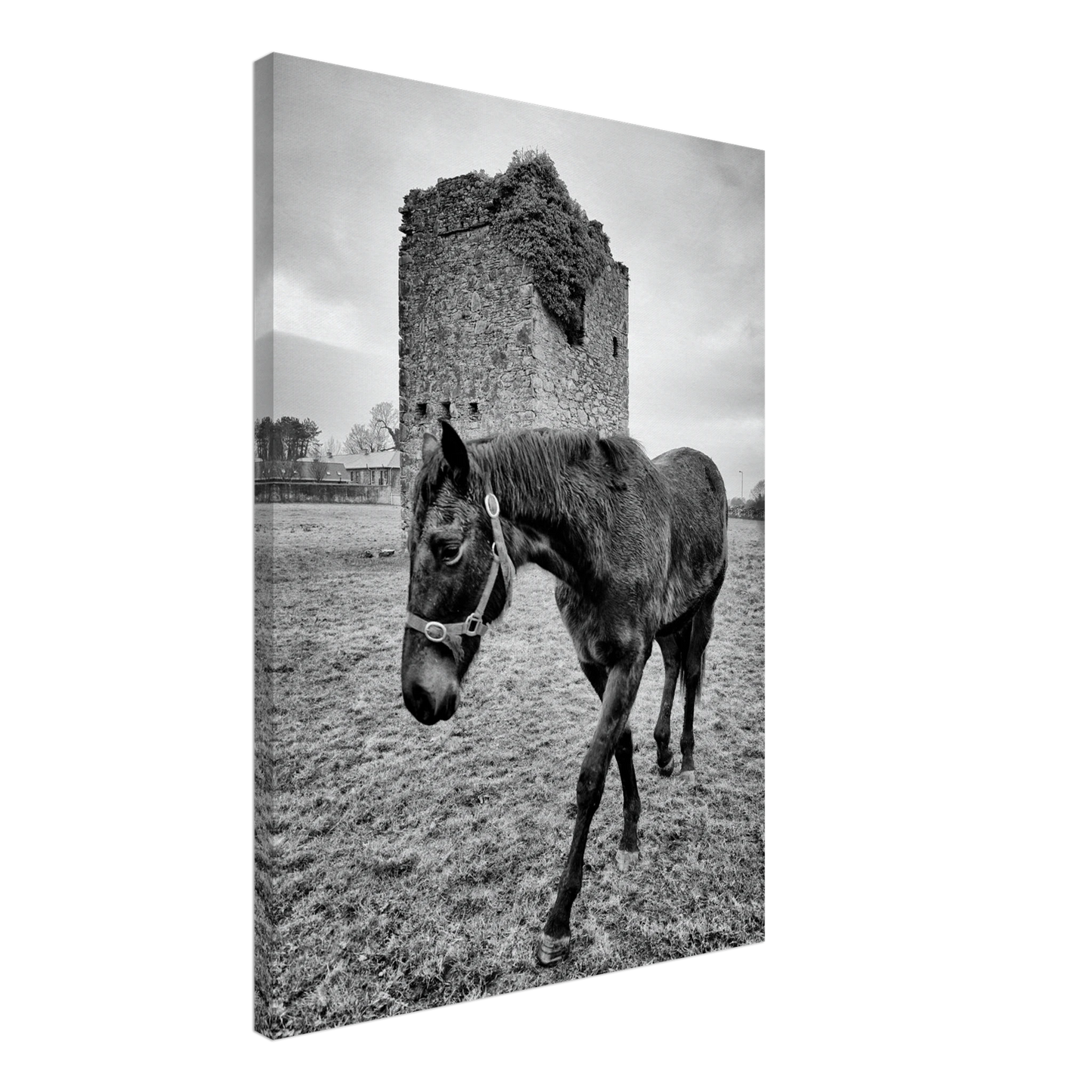 a636ee5b-9f16-4124-8e4f-69ef7f346edf