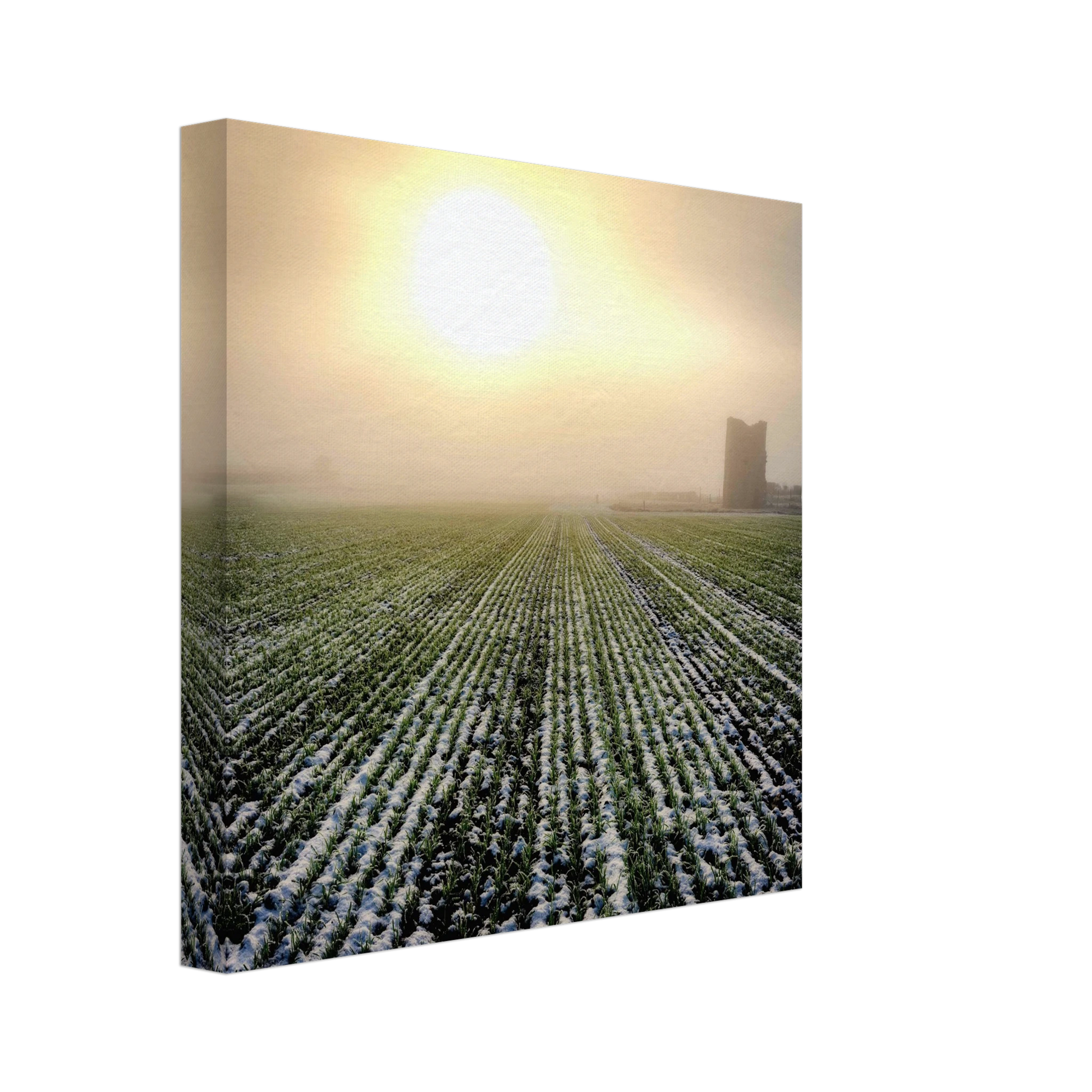 a661a3a9-a861-4c5b-86df-feb372765877