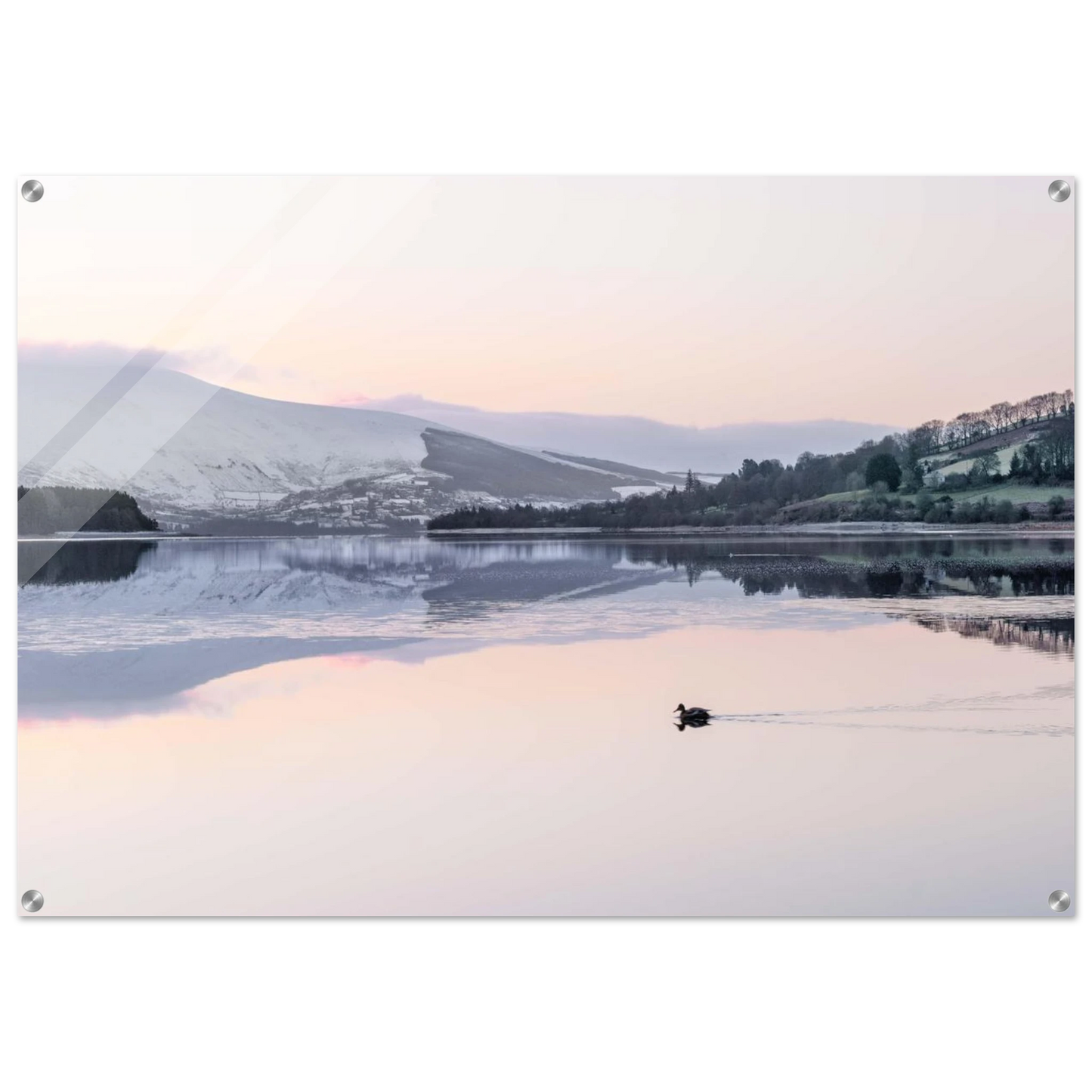 a6c4b0ad-6361-40aa-a704-9f7a0700f561