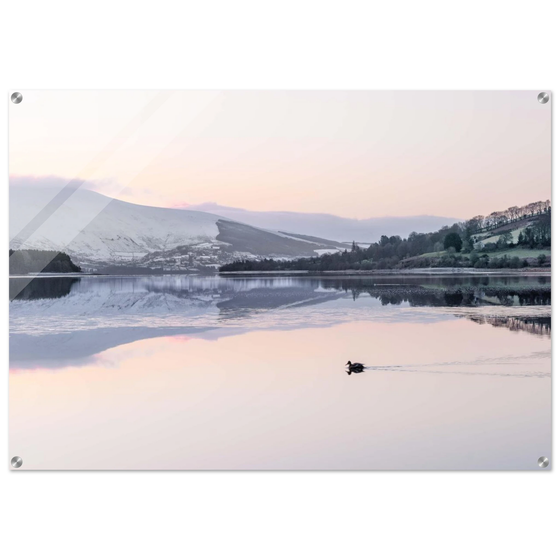 a6c4b0ad-6361-40aa-a704-9f7a0700f561