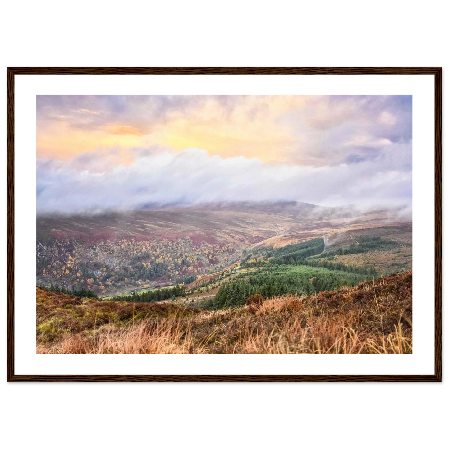 a74a6ef3-7ddc-42fa-839d-93bc0c653ea8