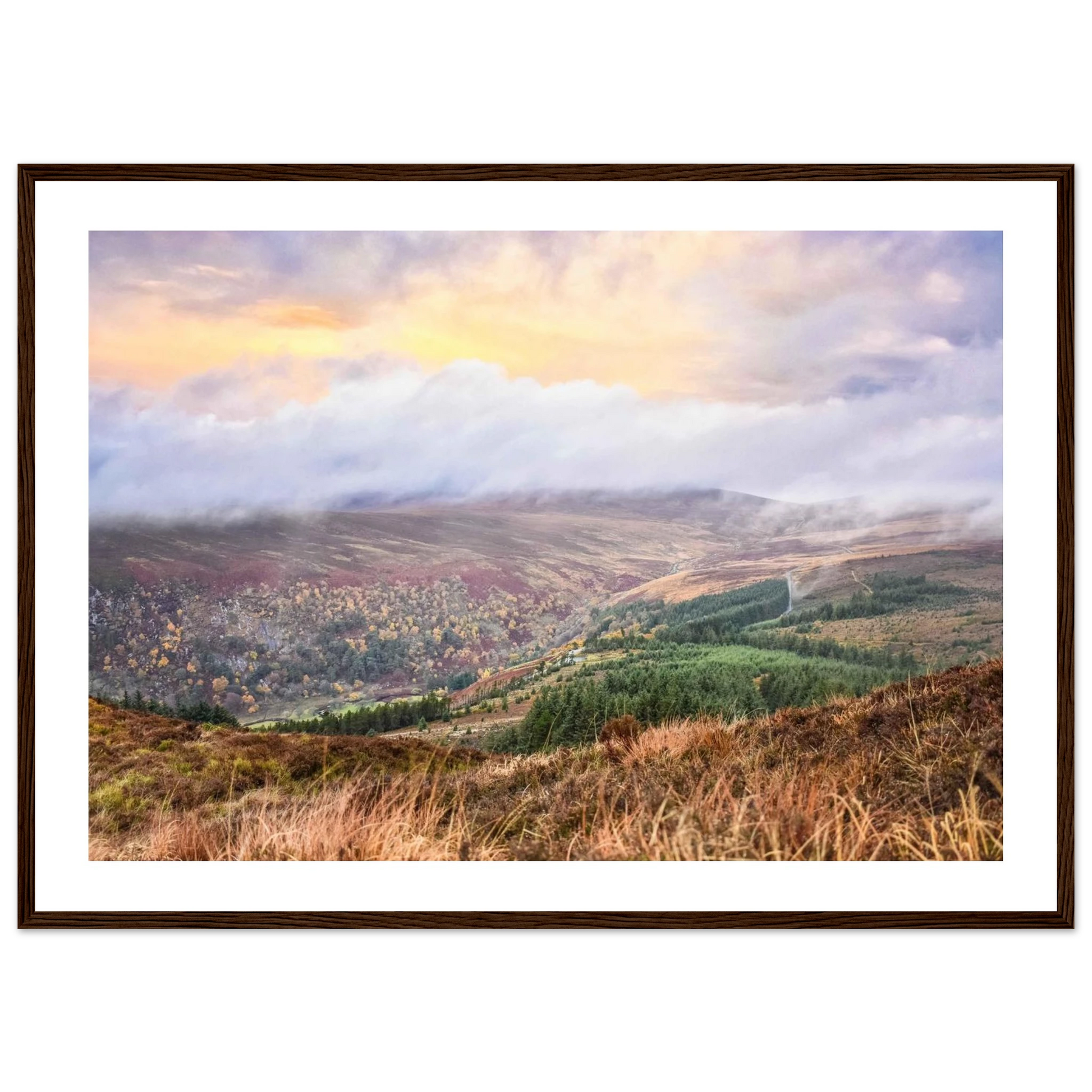 a74a6ef3-7ddc-42fa-839d-93bc0c653ea8