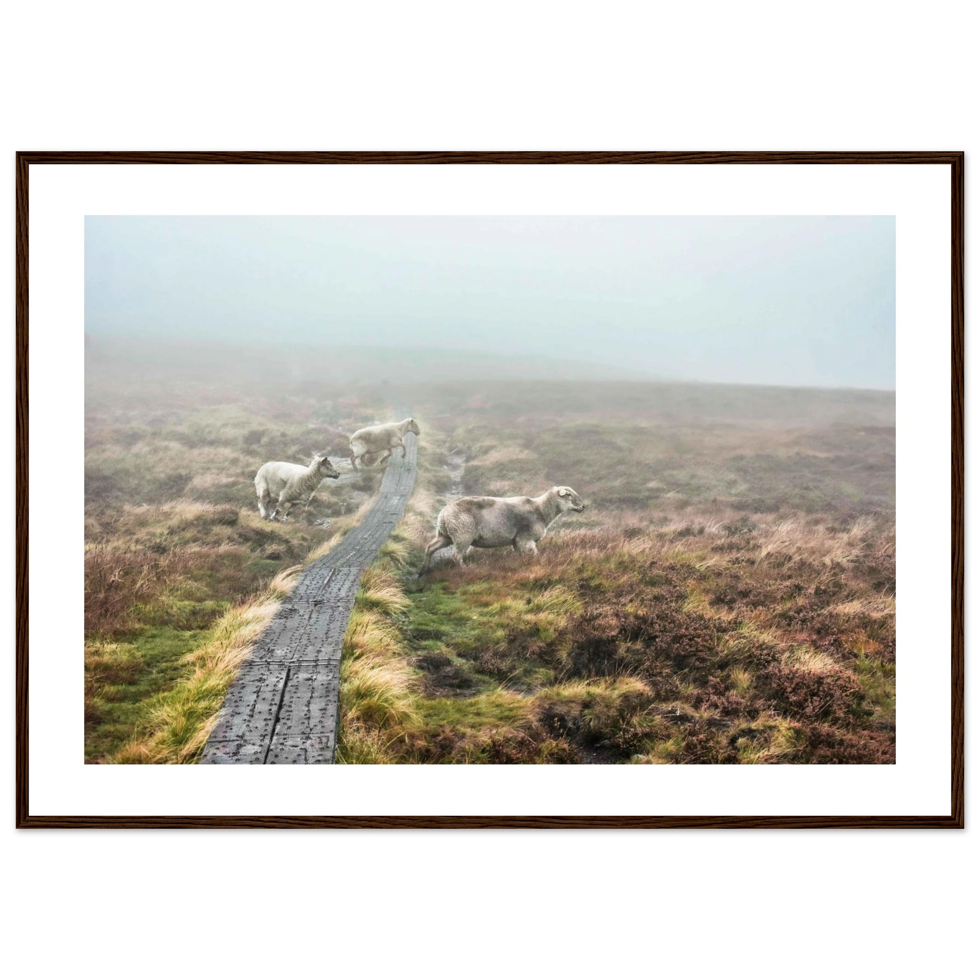 a7658caa-9eeb-4743-917a-23c7c5a1263c