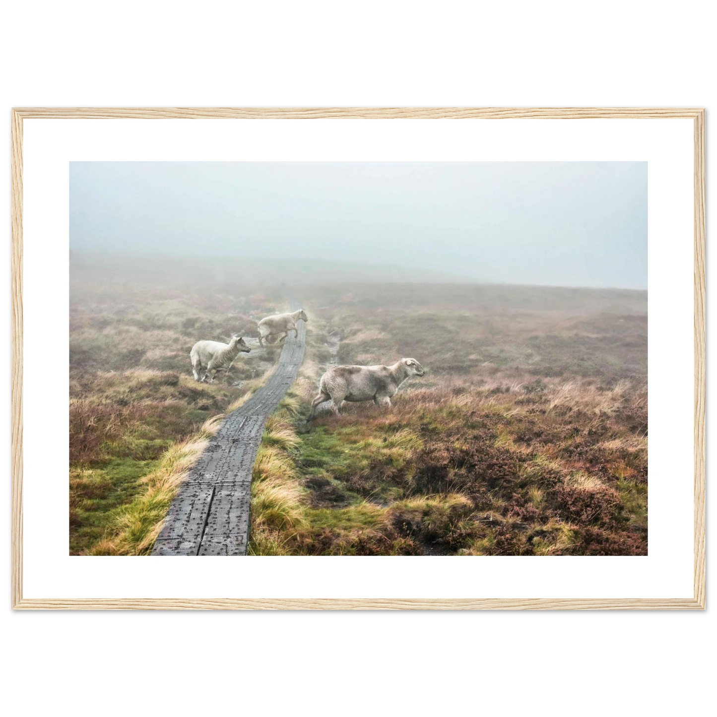 a784347f-a5a8-451c-908b-2b3095266878