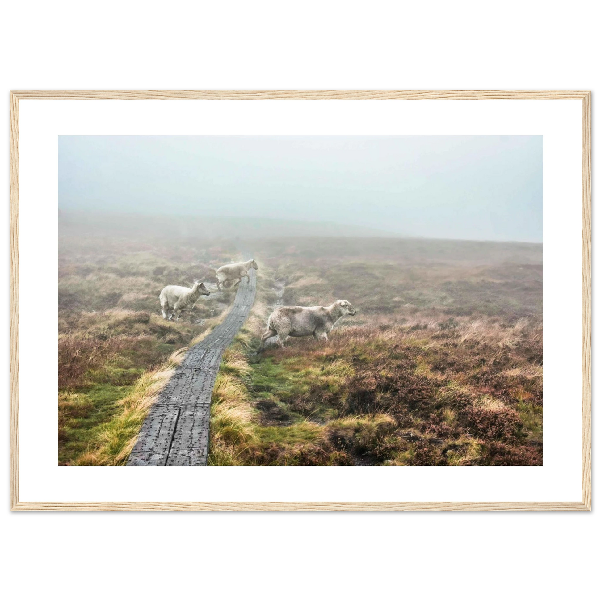 a784347f-a5a8-451c-908b-2b3095266878