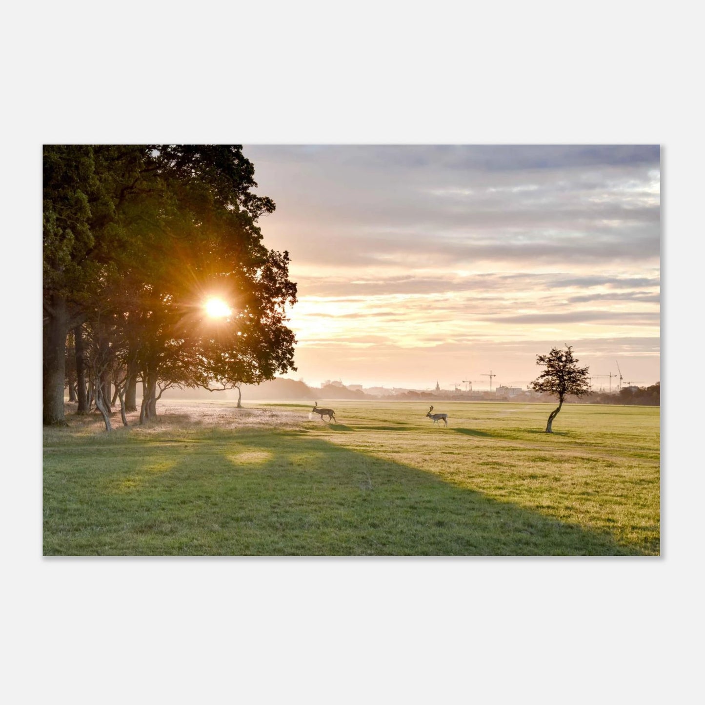 a792d023-4693-49fb-8e11-02243d470bf7