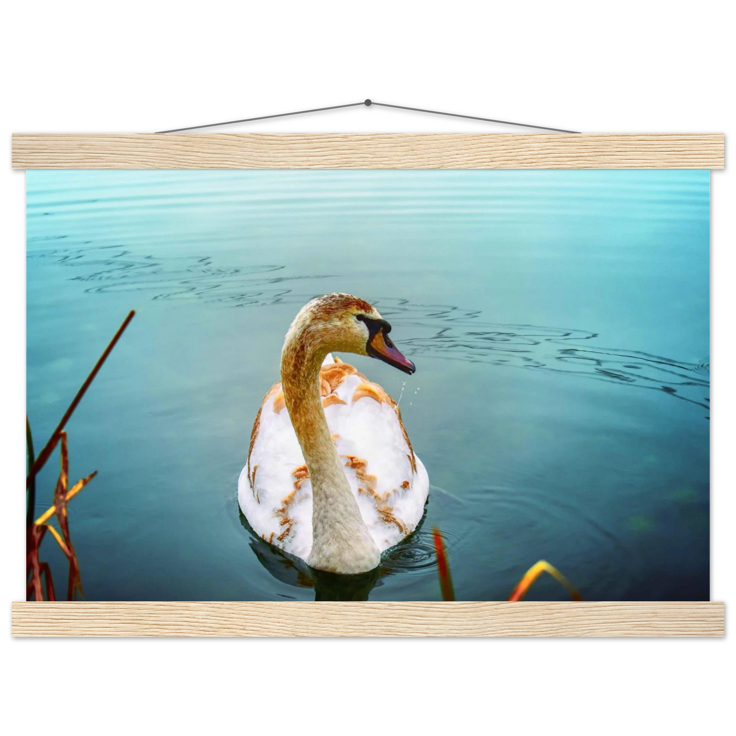 a7be9e83-87f1-44b2-bf7c-dfeaff21c648