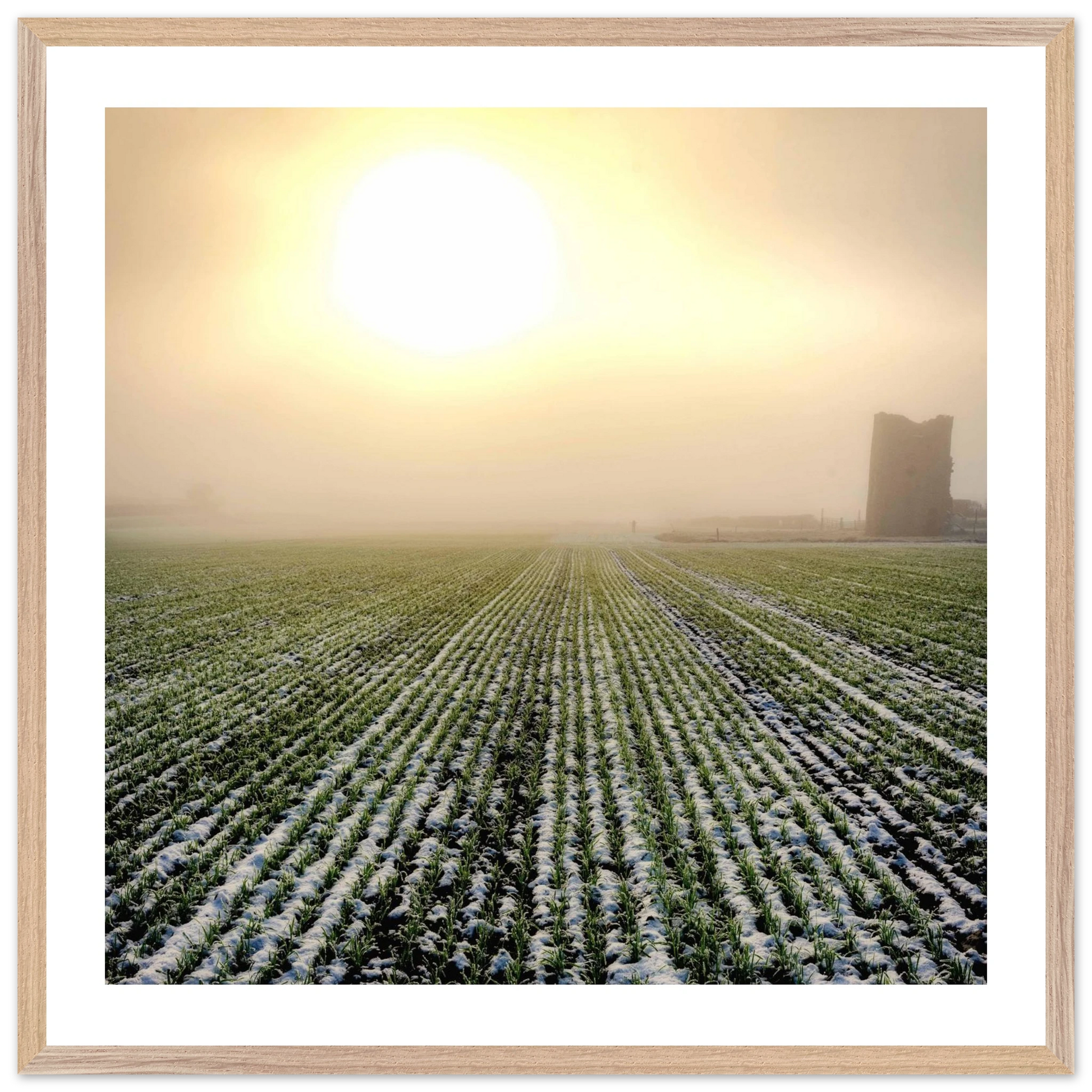 a8062e11-f130-4127-91cd-ae2f6f6e2273