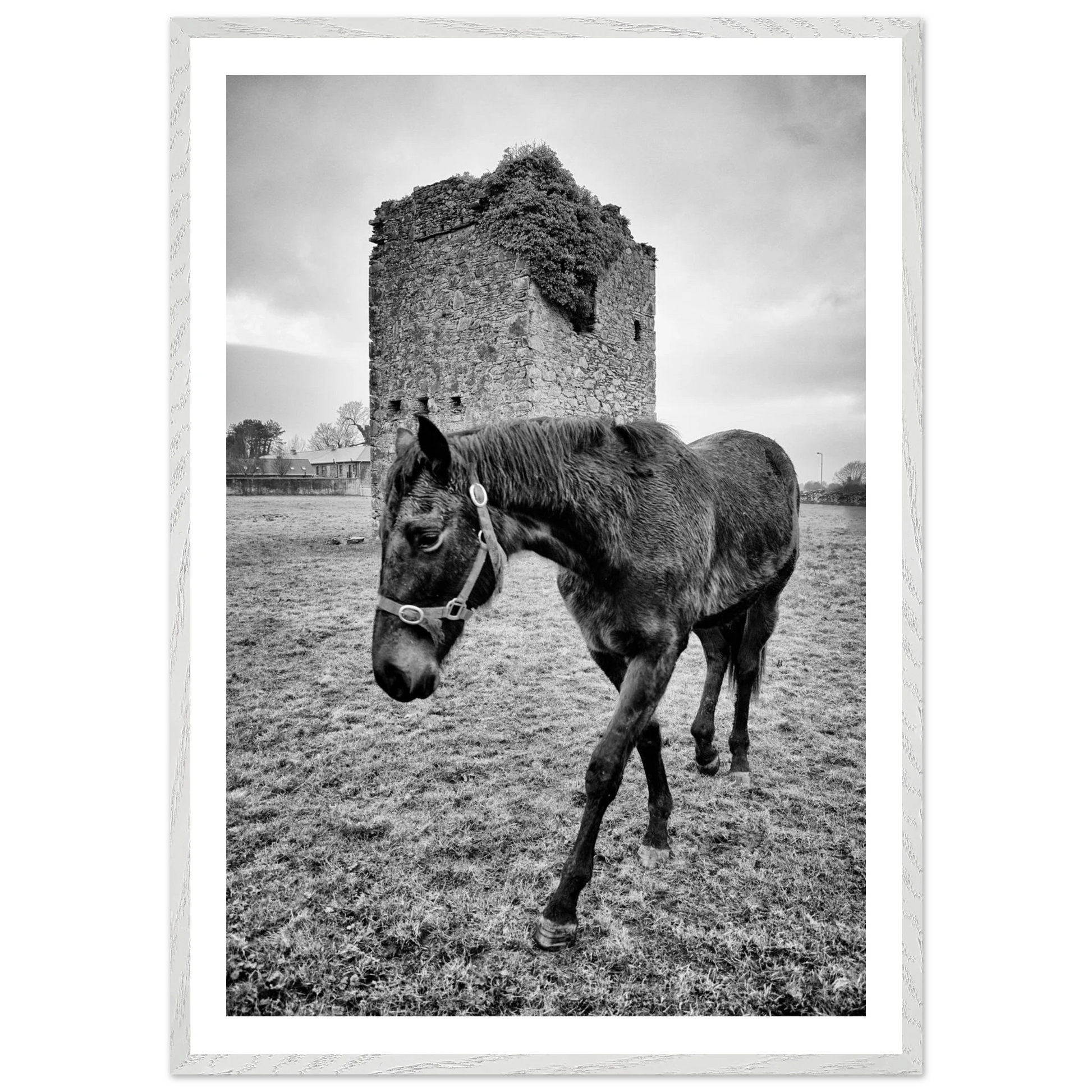 a818bf39-a25a-44a8-b8bd-0b5541f32739