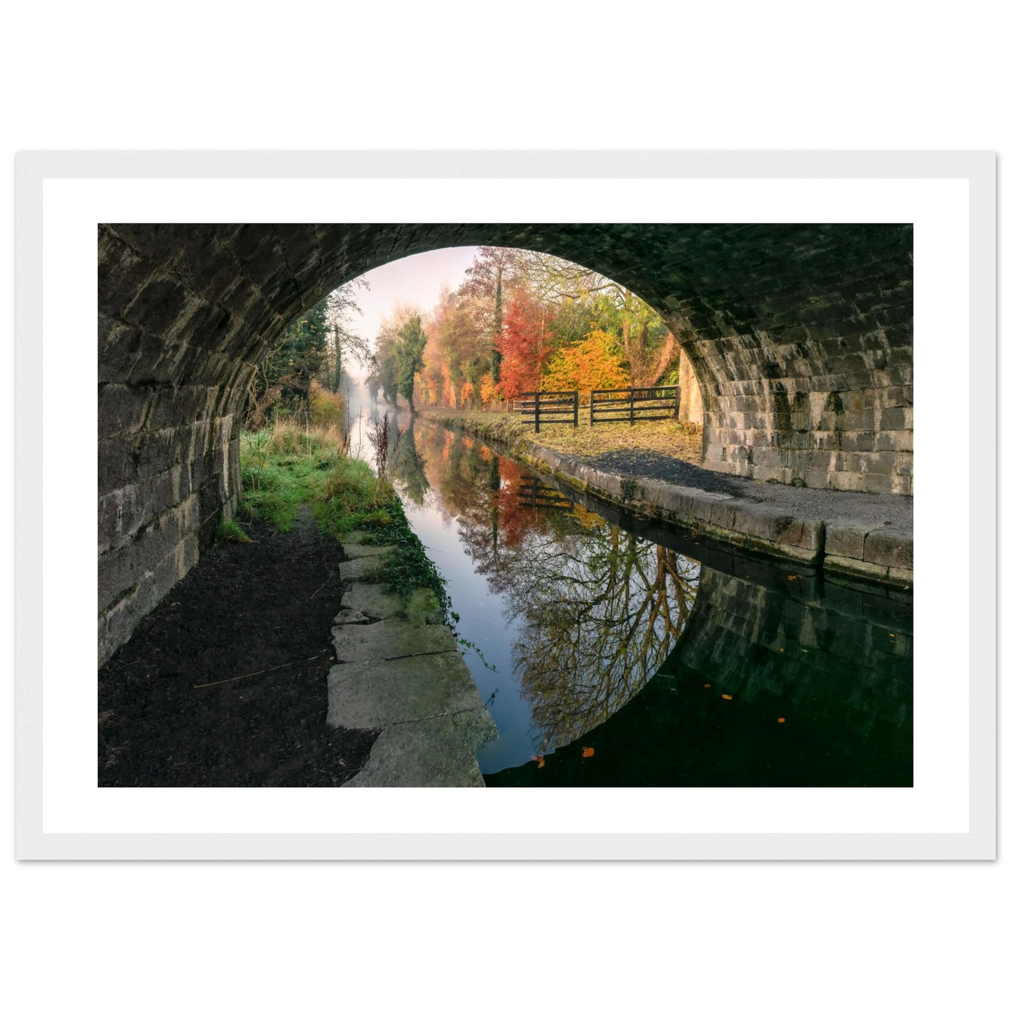 a8a18079-9d0c-4436-afd1-f95e848ef355