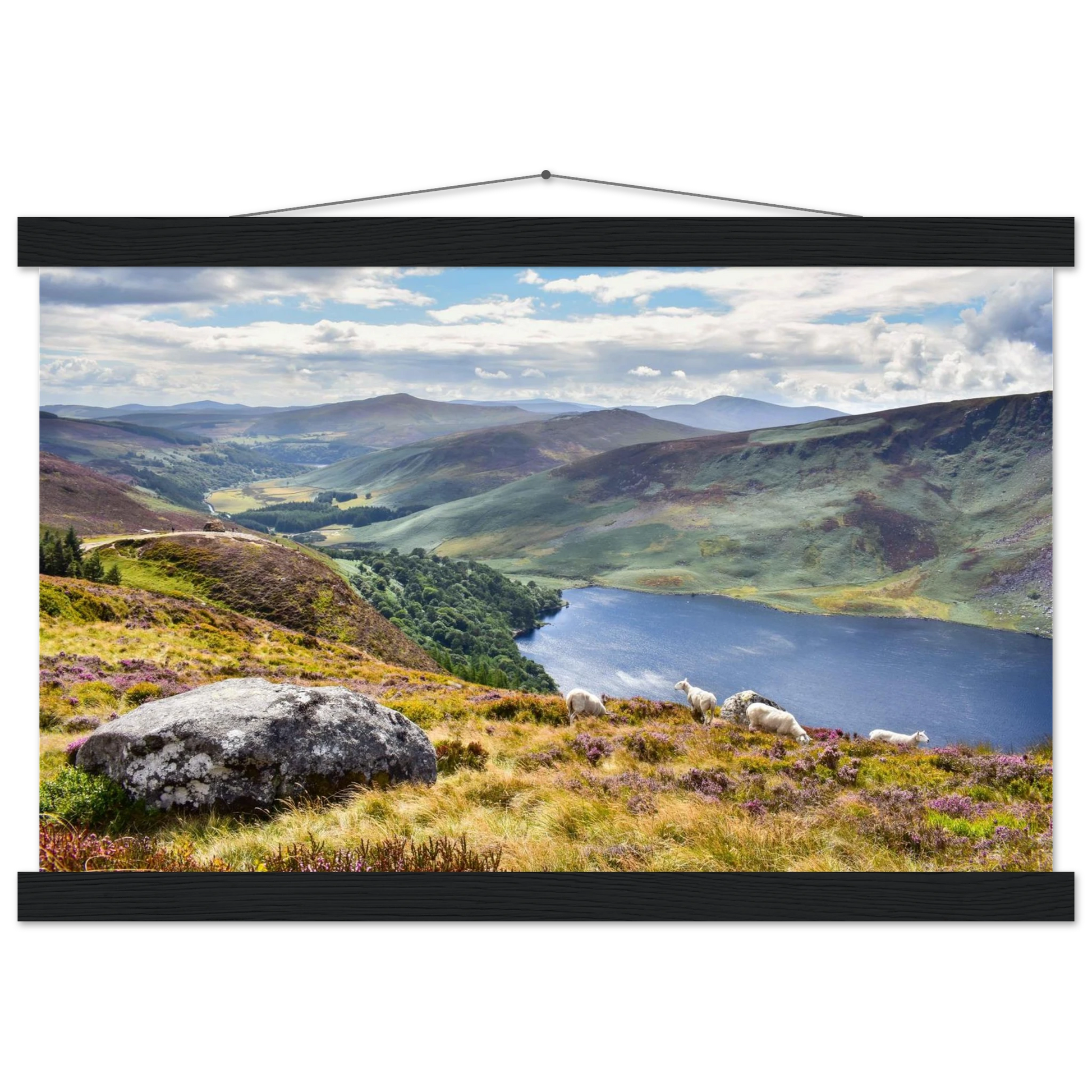 a9a53aa7-8af8-4bd2-bfed-cd360eb9dd1c