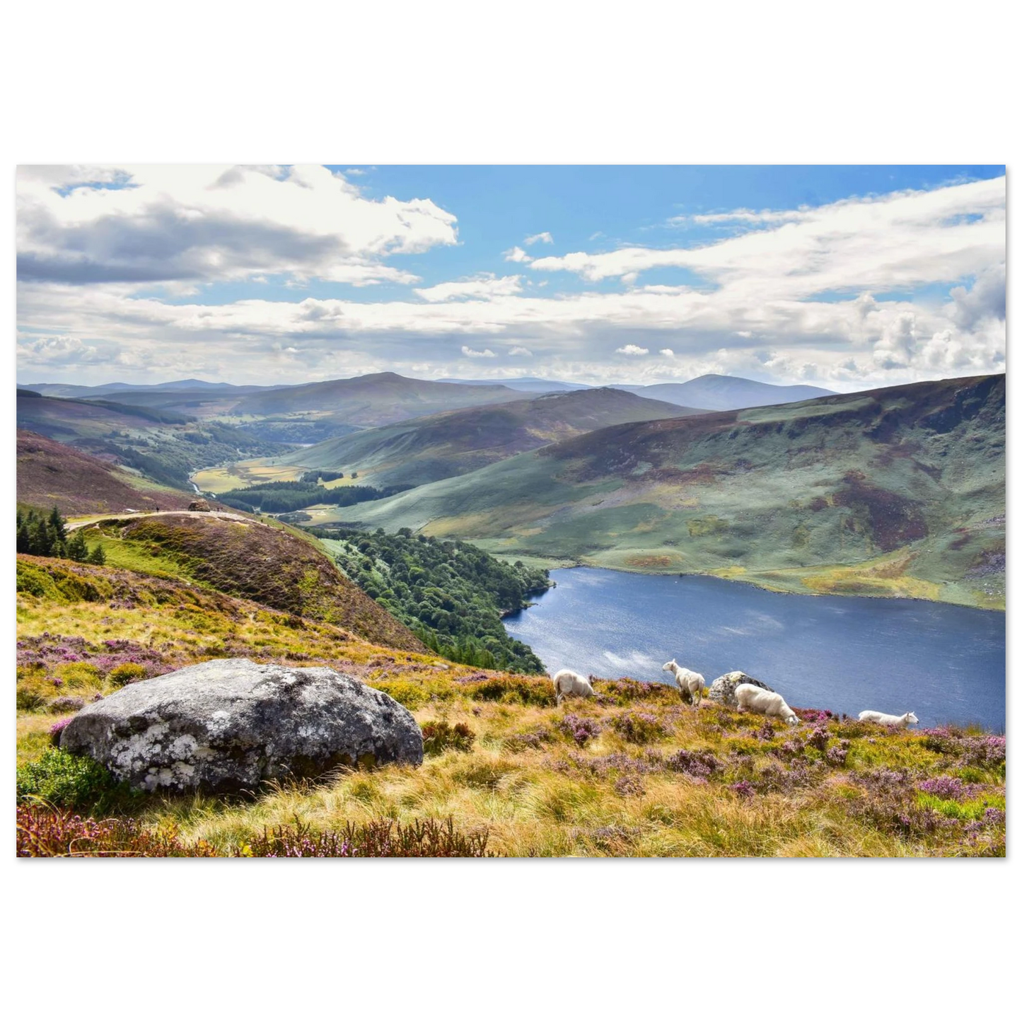 a9f4c33a-1982-47a2-8145-a1ef614a63f6