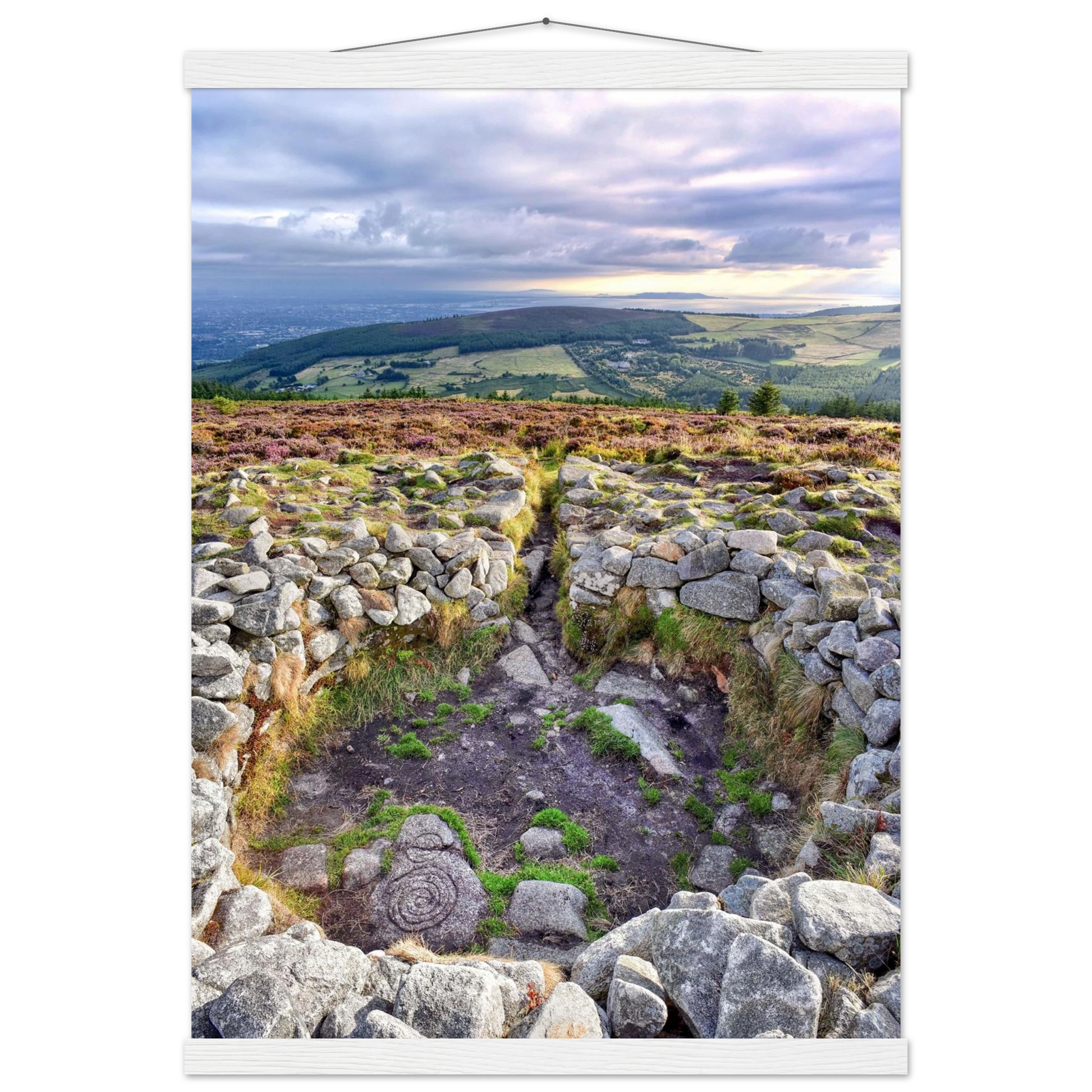 a9fc02f7-6c88-46ab-ac26-e47618234de0