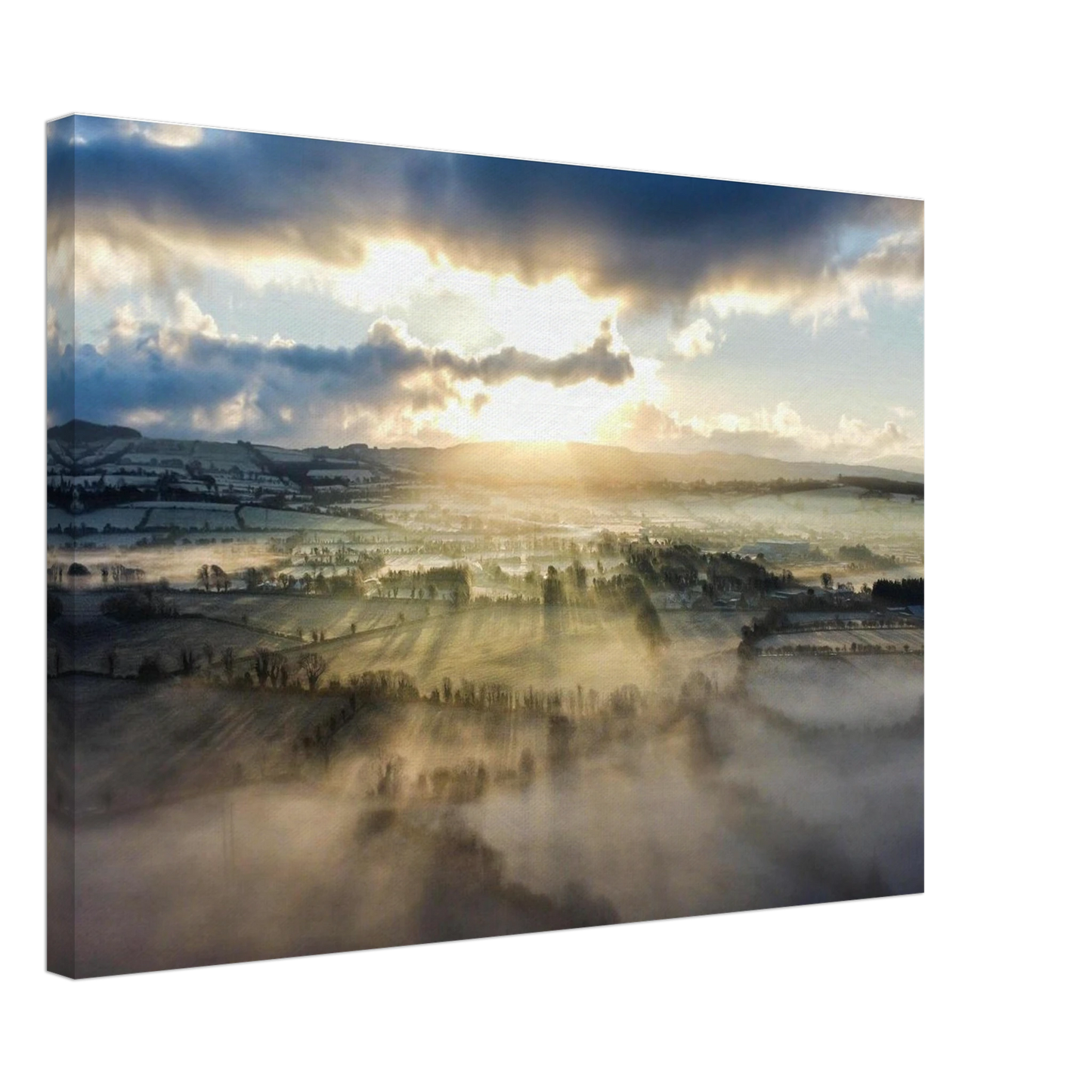 aa20cf19-bcd9-4142-85e6-9396401bd940