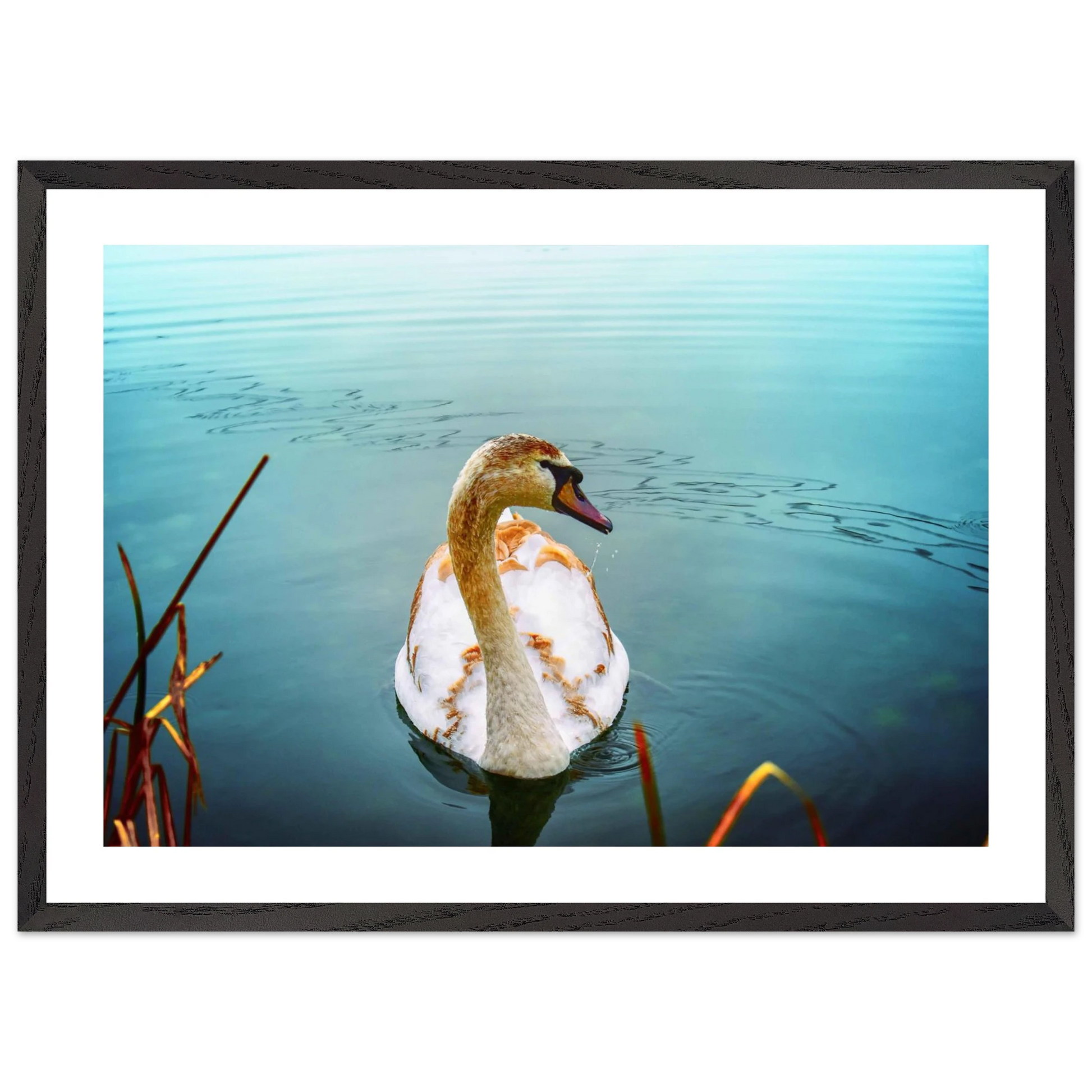 aa3d13ee-1710-4f2b-90ed-564395f9db74