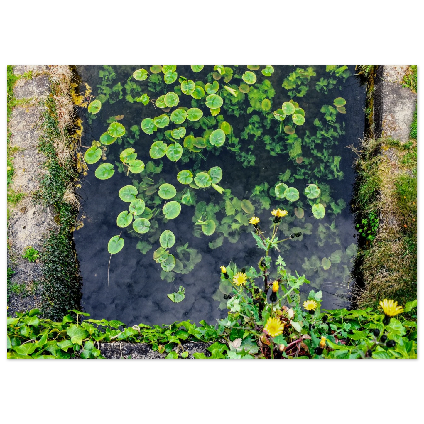 aa7cf709-24b7-4c84-acfc-51a460cccf2d