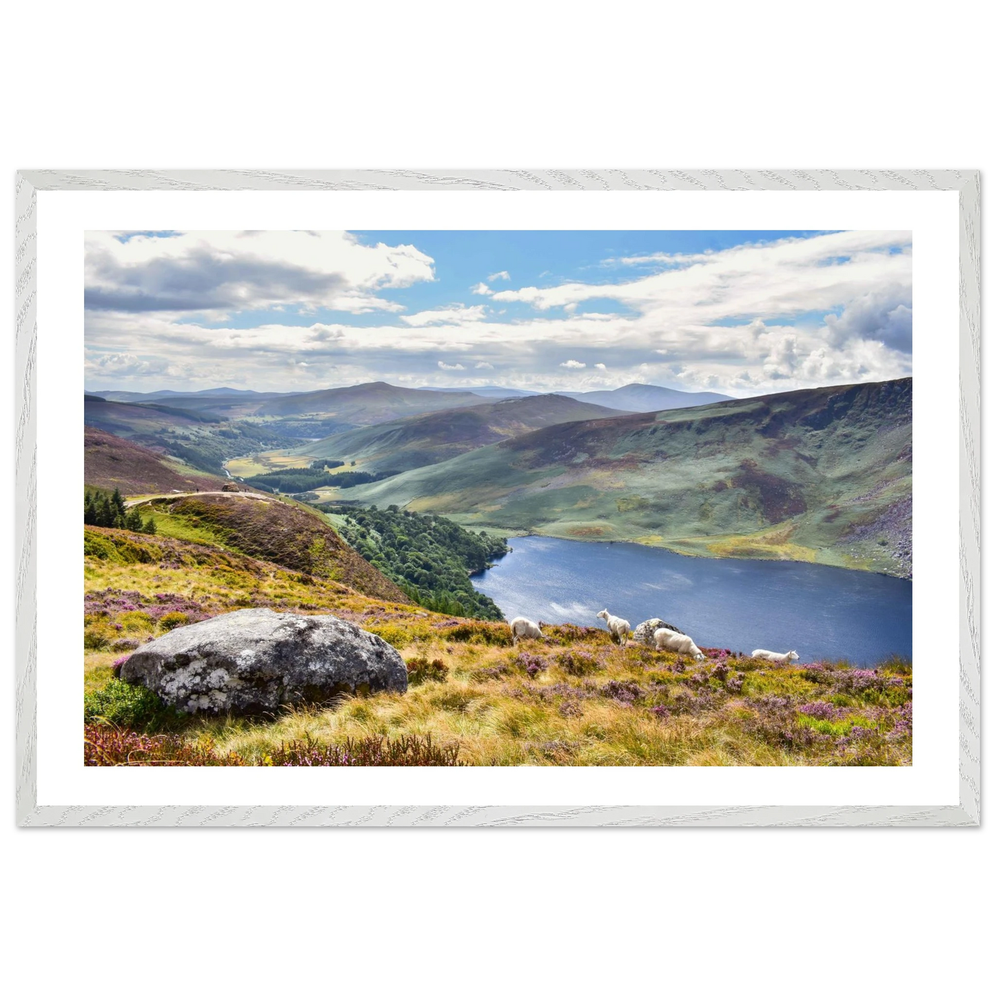 aa86b3ff-cbcb-4fa6-80cd-f1a6ab43a313