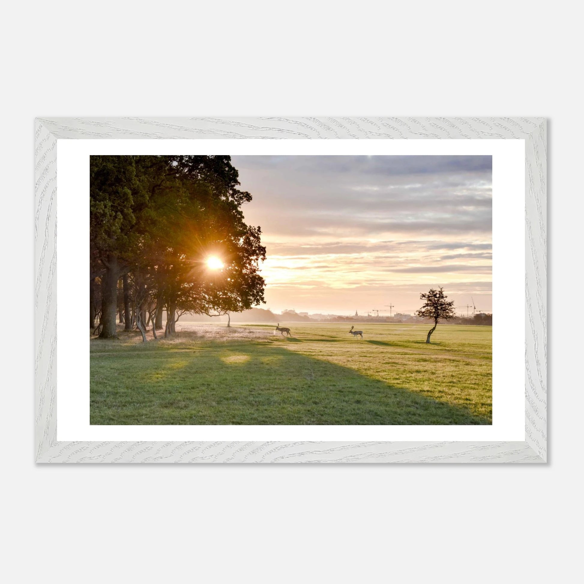 ab1924c0-3a1e-49b7-8da9-cb3fd01e527b