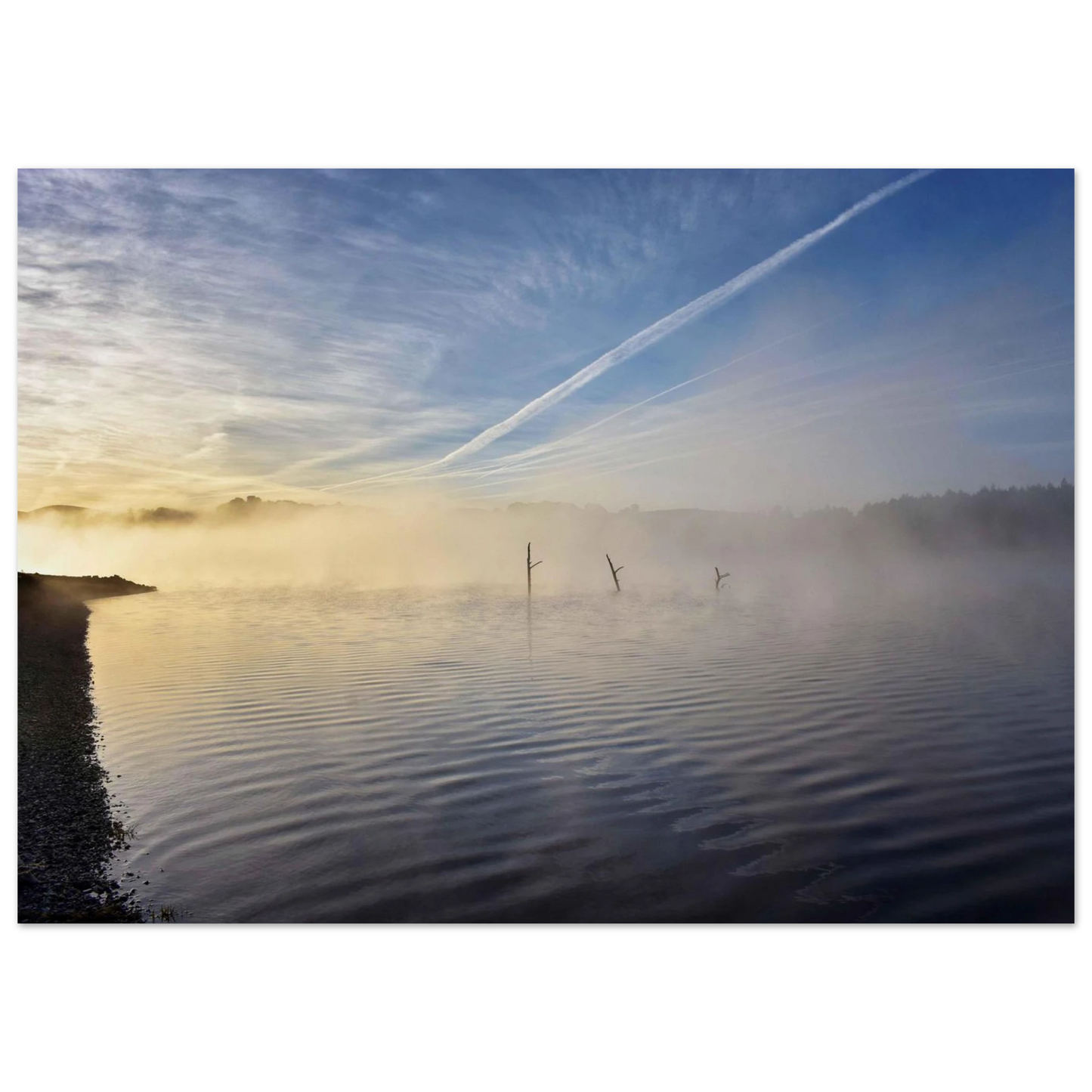 ab6dcd82-bb7e-46e0-9f19-0694d3831660