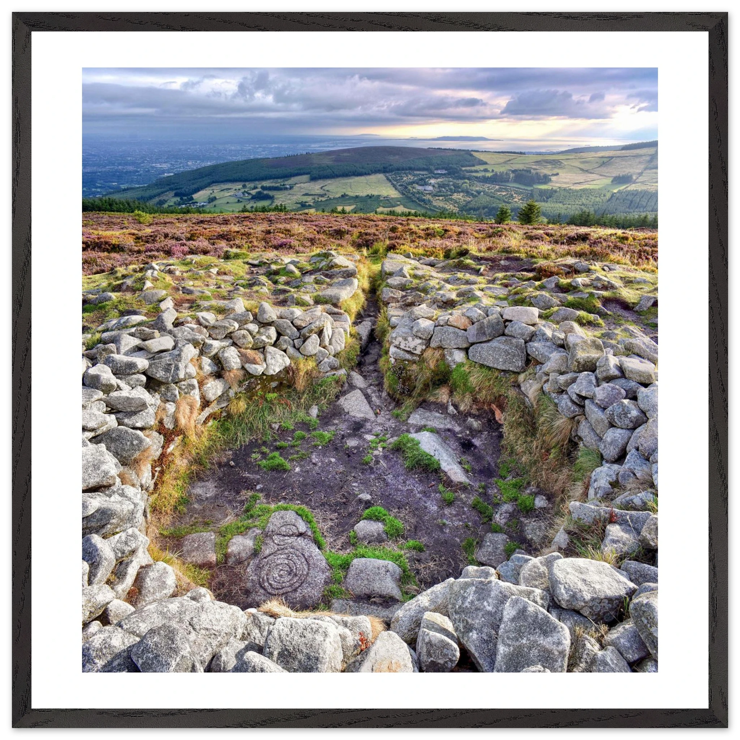 abaa90bf-edb5-4ba4-ba74-03421794205c