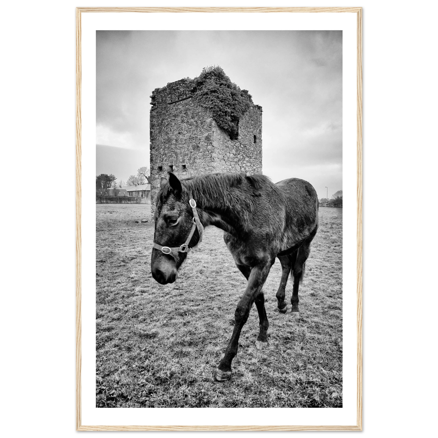 abaf56b5-d8c7-4263-a06e-4c2c3d9b1498