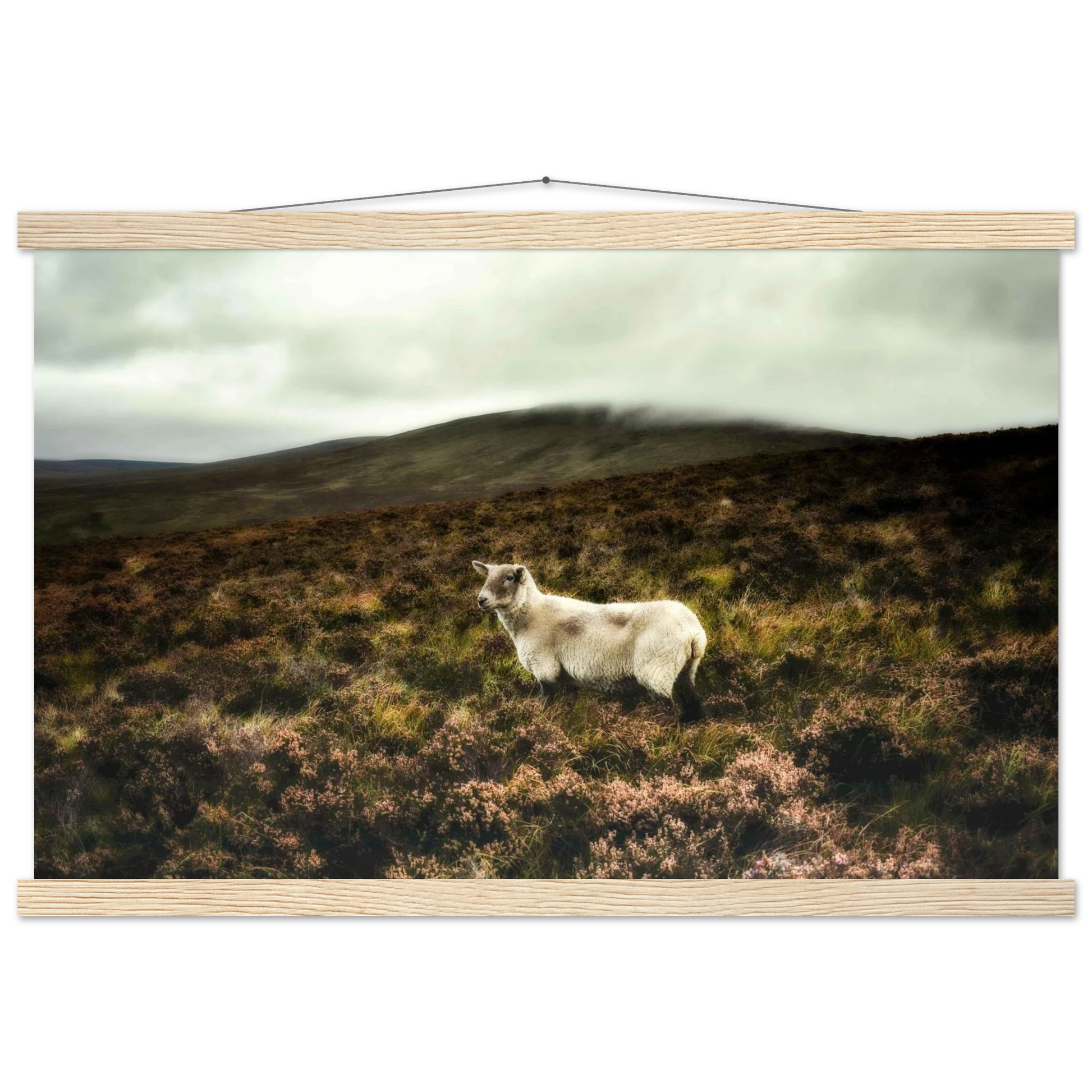 ac0eff13-2008-4519-ab4b-dad231912648