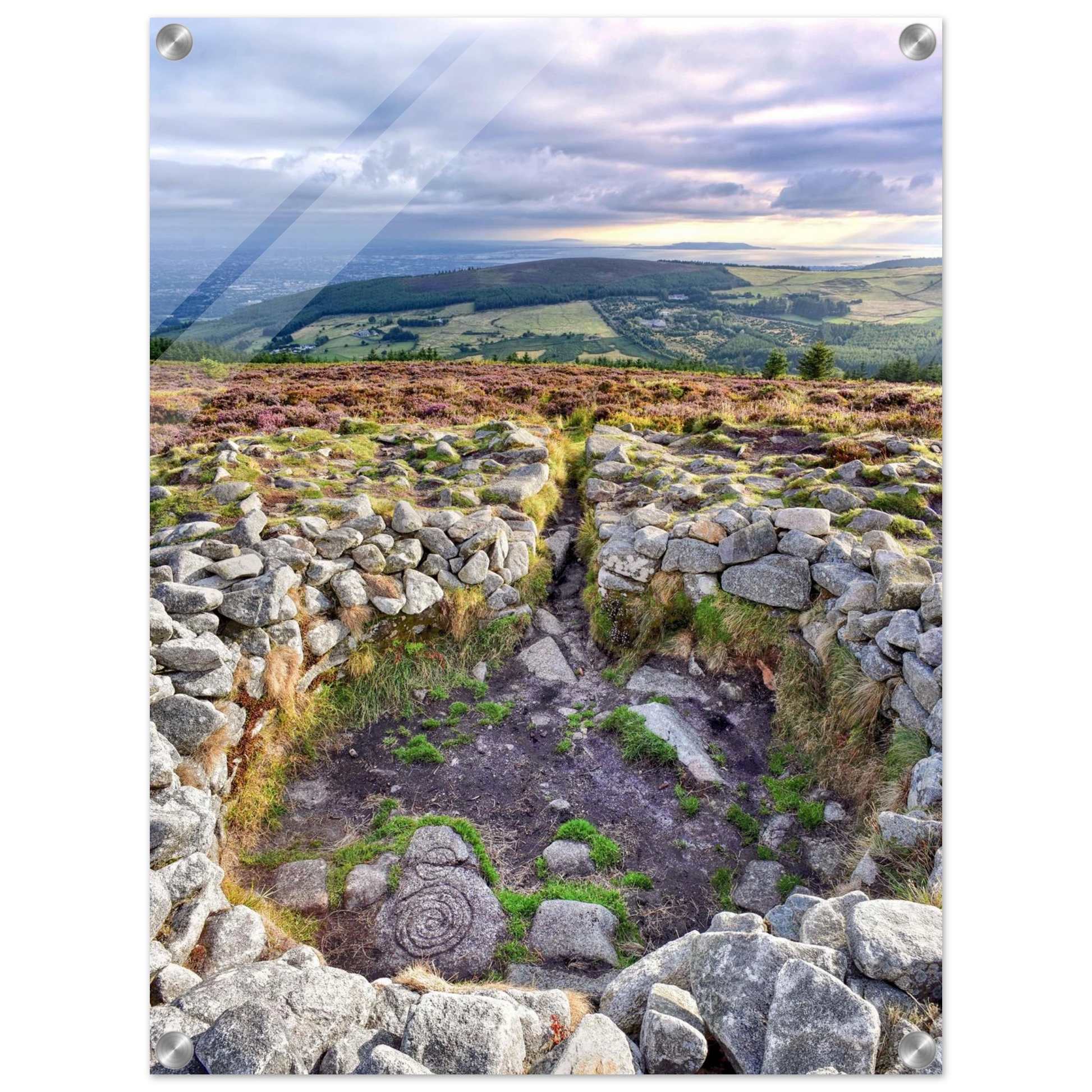 ac3232dc-0263-4d9a-8c7c-241a7ad67c11