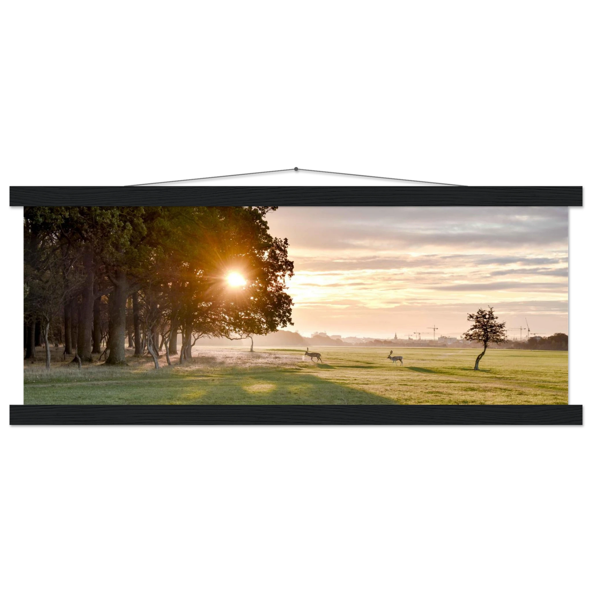 ac54bae4-b918-4fab-b51b-43d9f5be5b73