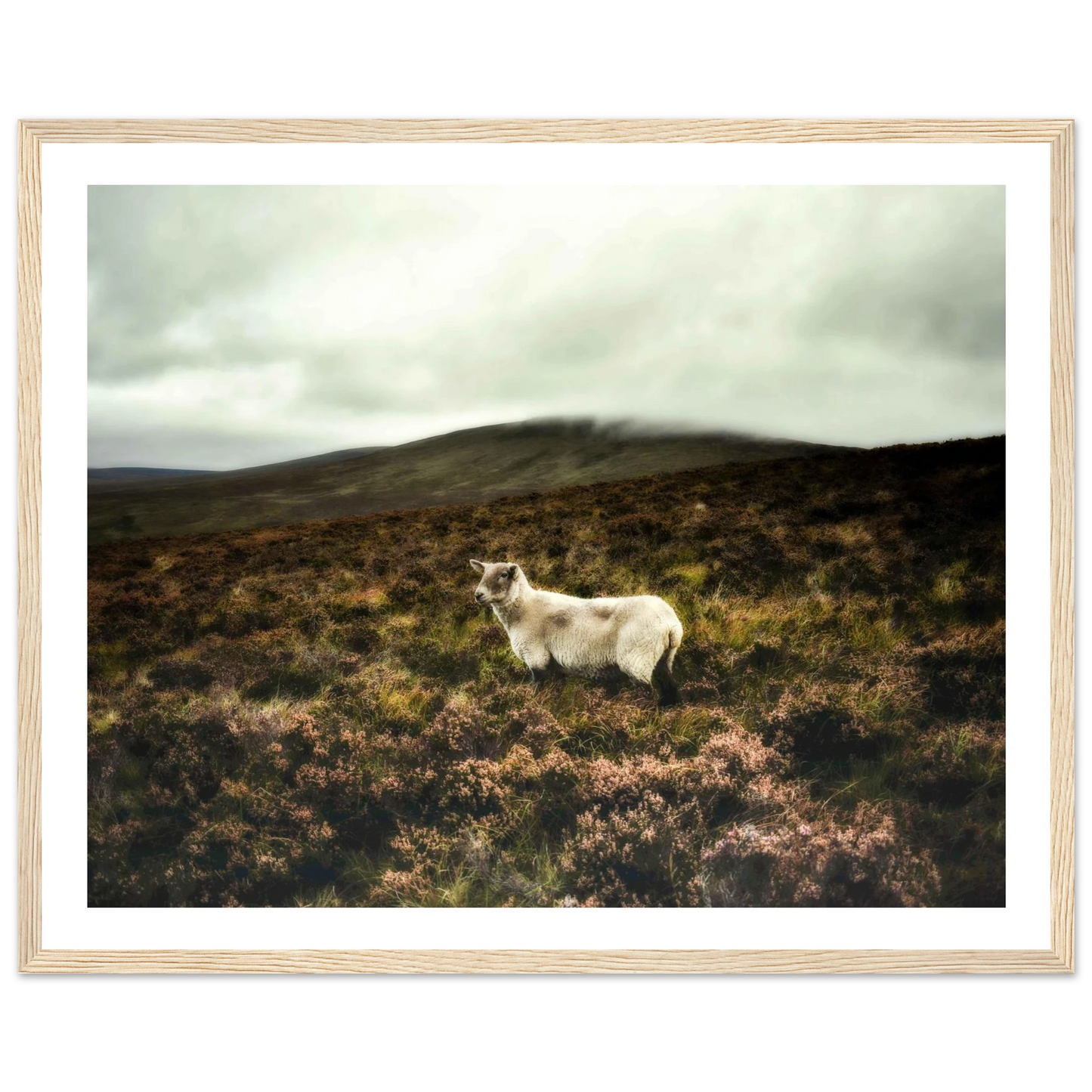 ac8e9937-e962-4dcb-becf-dc1404504f4a