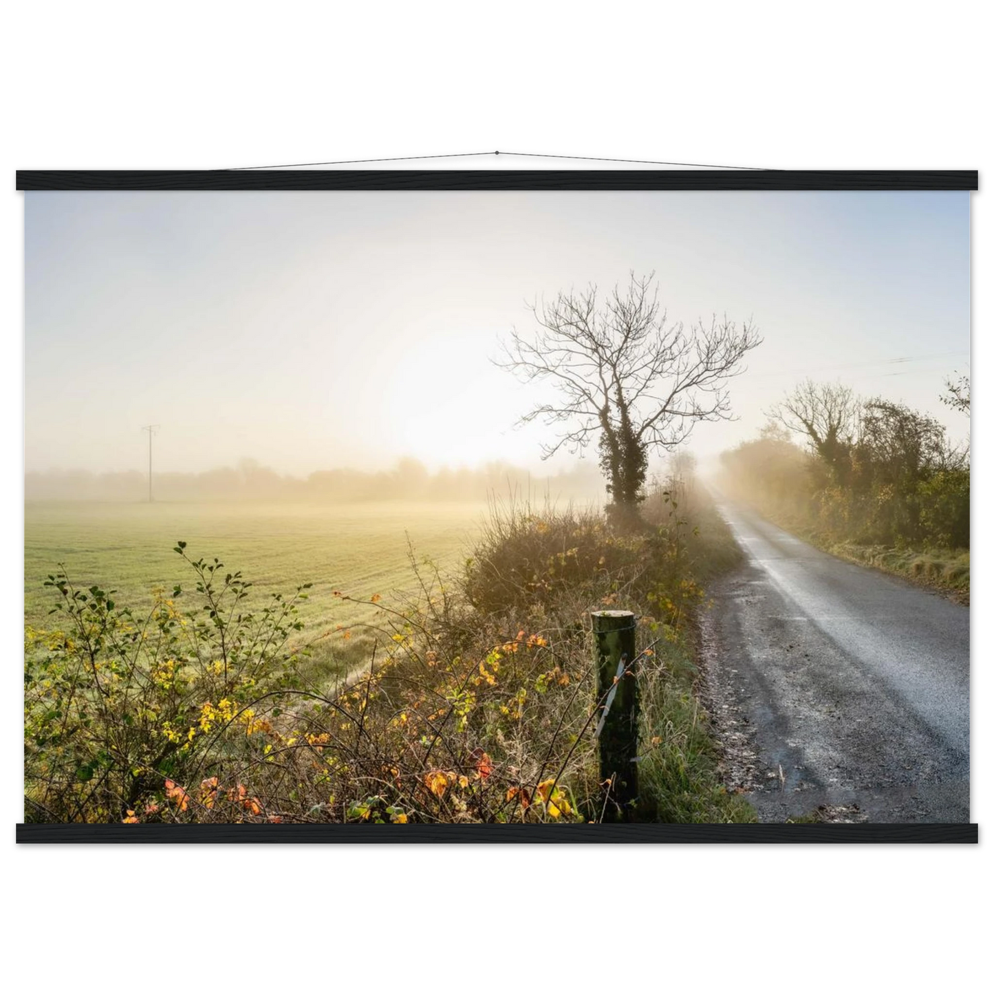 acfa0056-dc33-40fa-ad19-72e1e91061eb