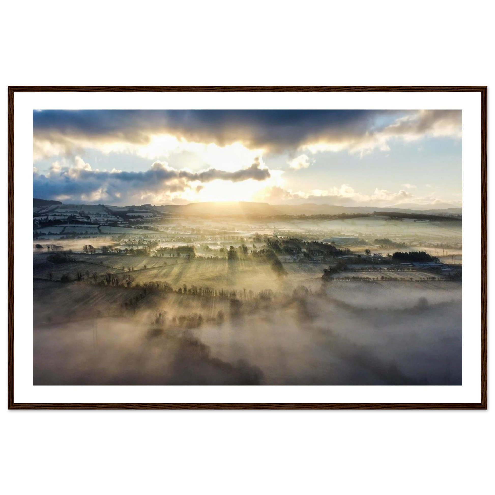 ad0c84d0-1531-4115-94f4-617a801b66c8