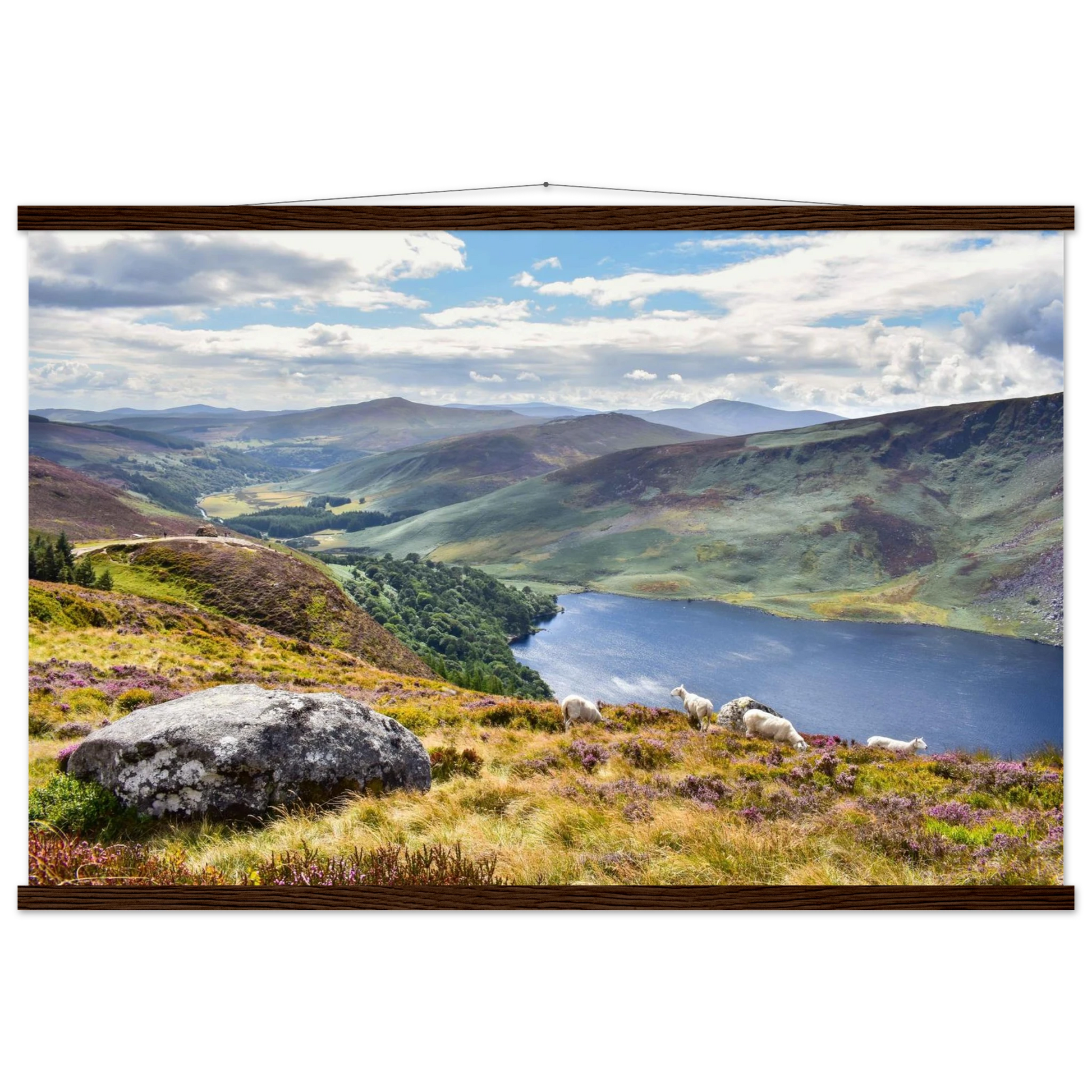 ad1c4759-81ca-4ff6-af1b-3939f8eabfab