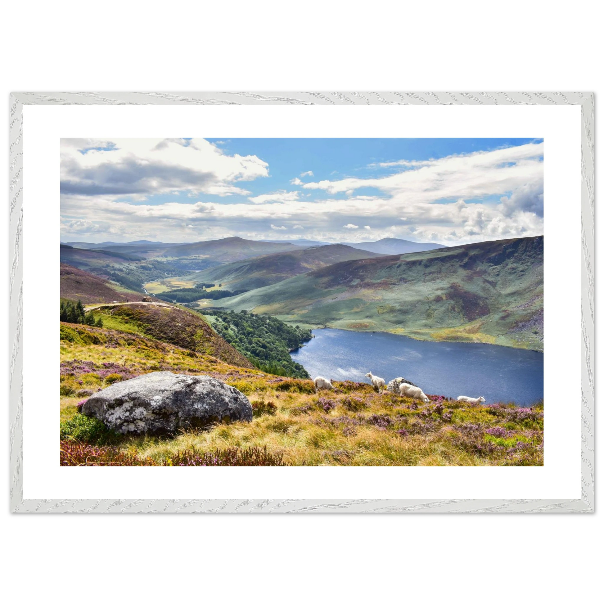 ad1c853e-b52a-4a04-9819-ae49e1bd4fb0