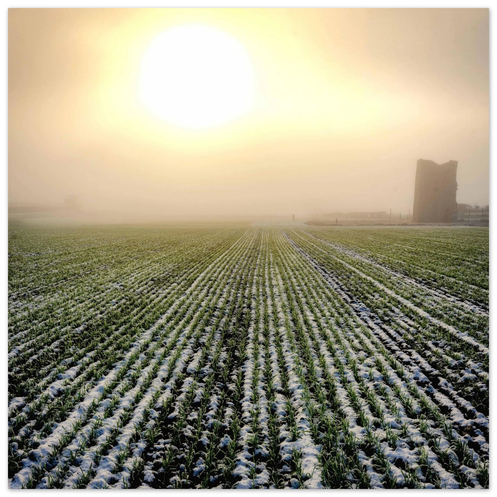 ad8a1888-cb37-46e9-9c95-5e0726ca4220