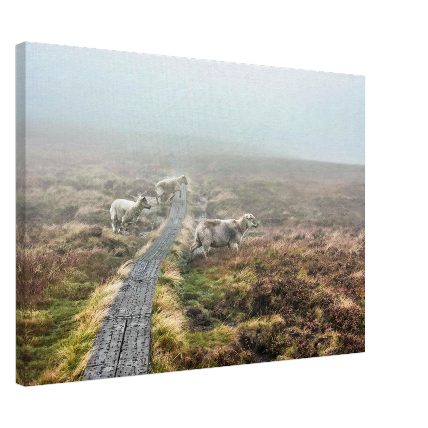 ae040379-0ad5-4b88-b2e3-d627c125419e