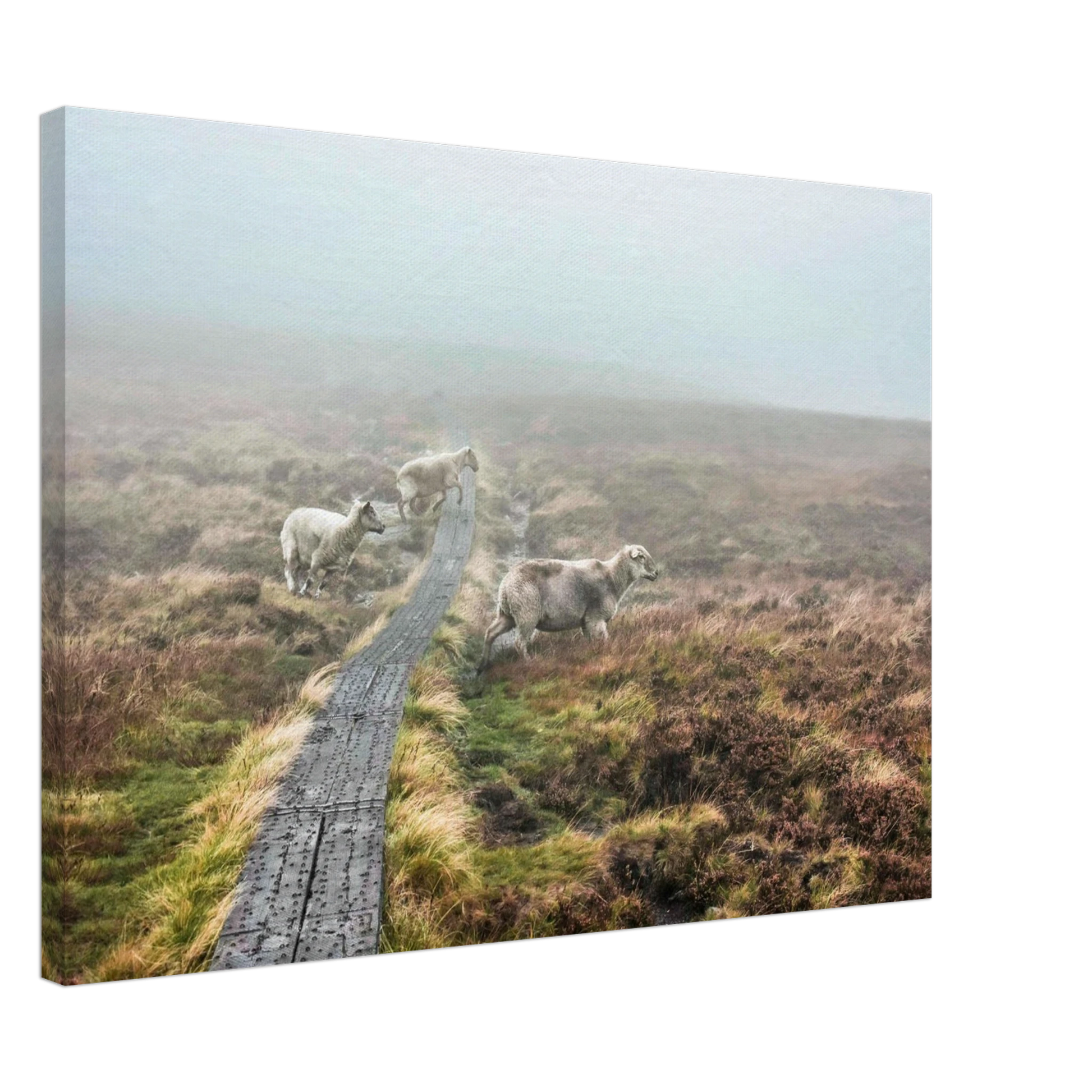 ae040379-0ad5-4b88-b2e3-d627c125419e