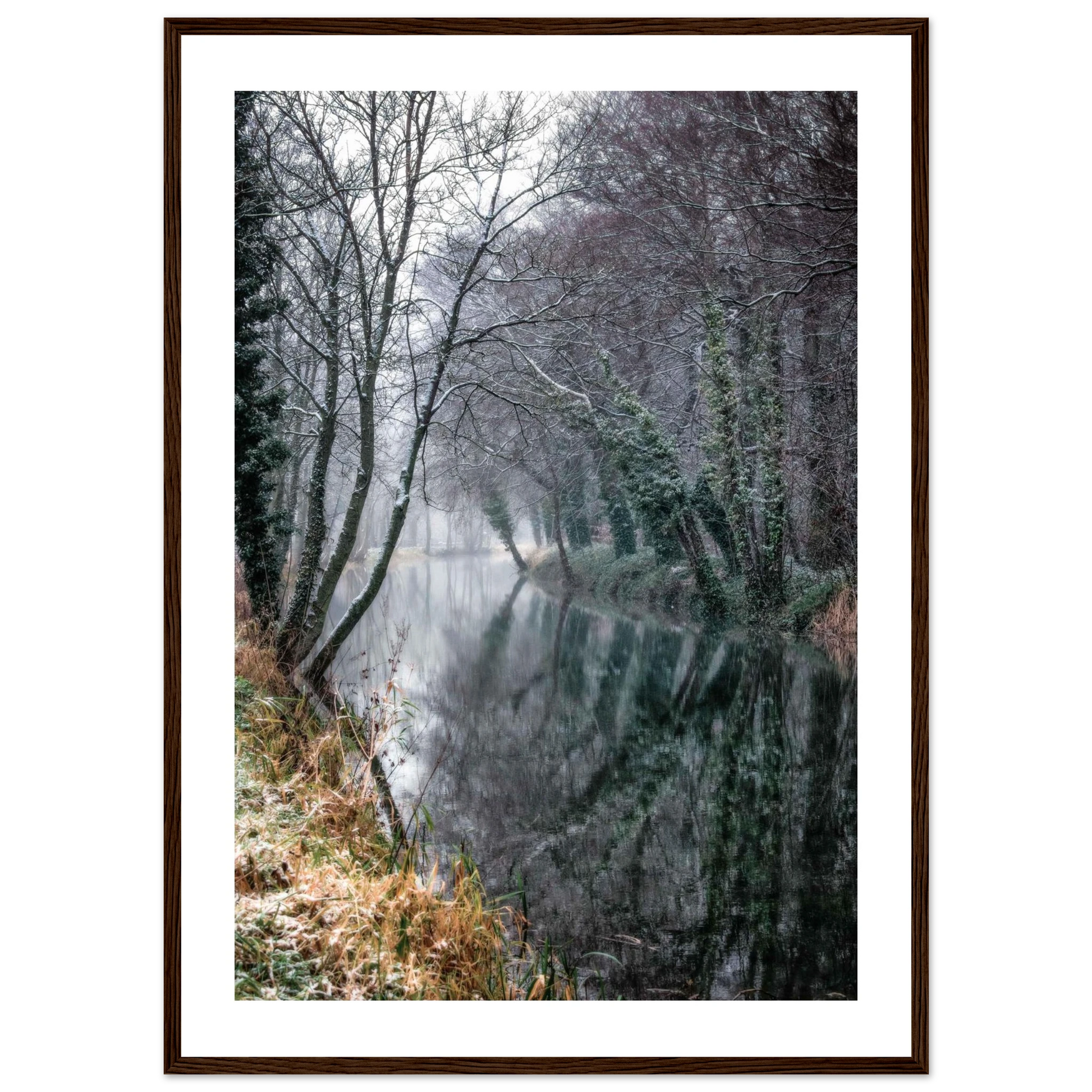 ae86e13a-695a-4b7c-ac00-375828657275