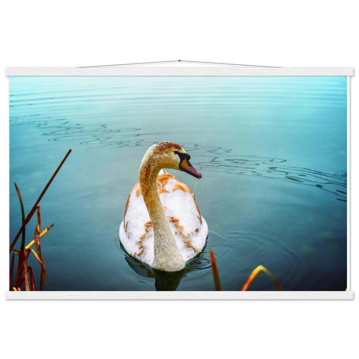 aea8723c-9d7b-4ac1-a85b-156ce7ffeb07