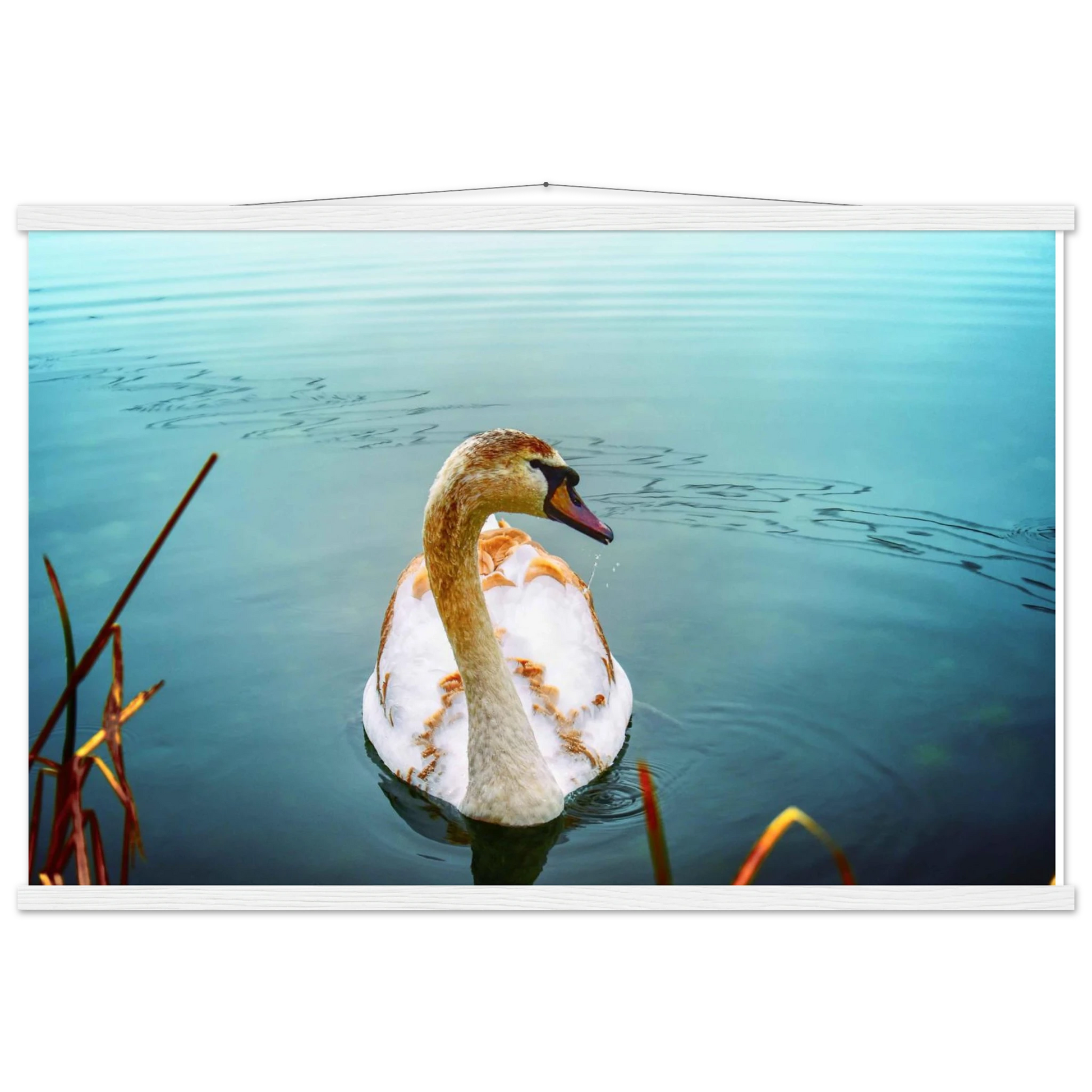 aea8723c-9d7b-4ac1-a85b-156ce7ffeb07