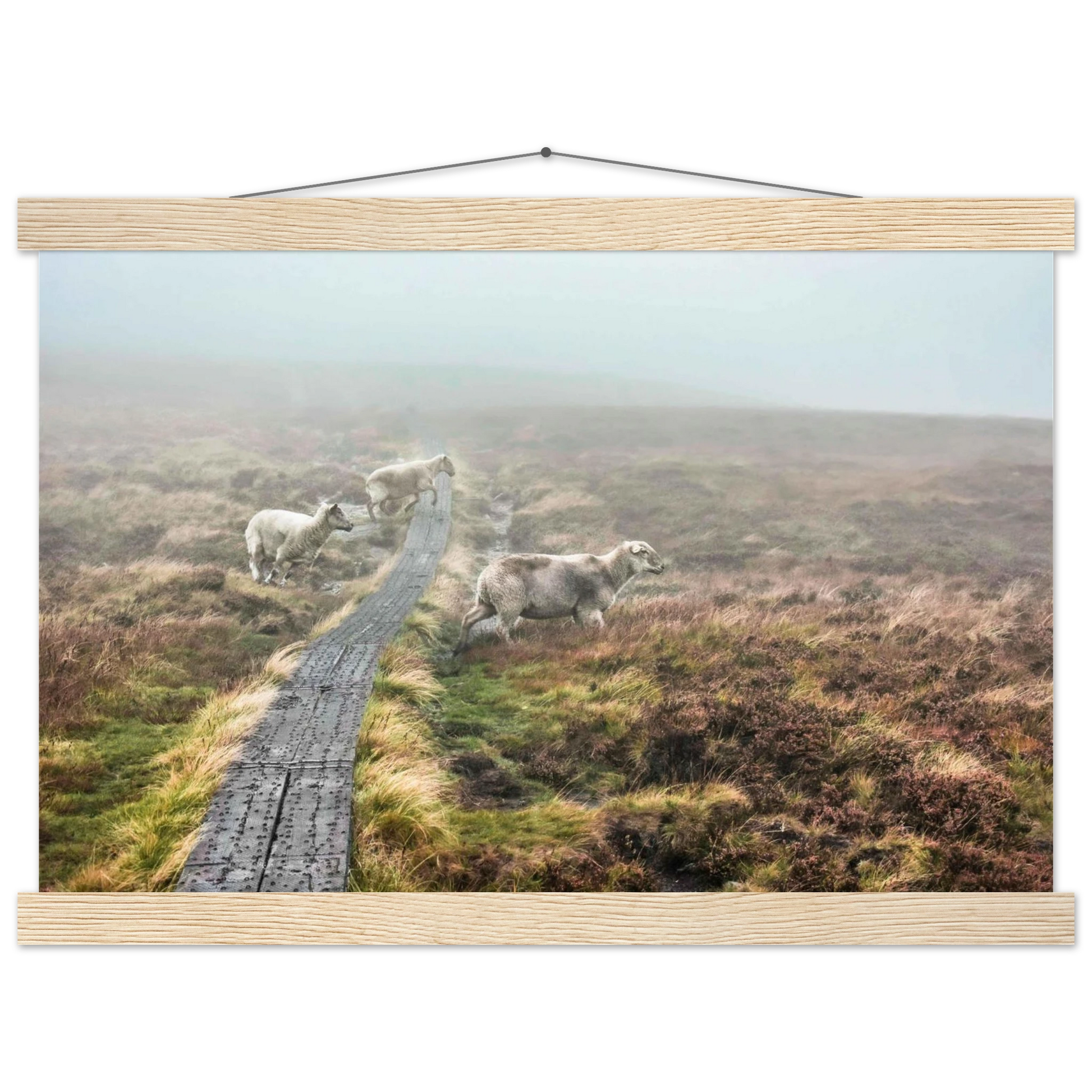 aec04cdb-dd1b-4c85-b172-e7eae4b2b16c