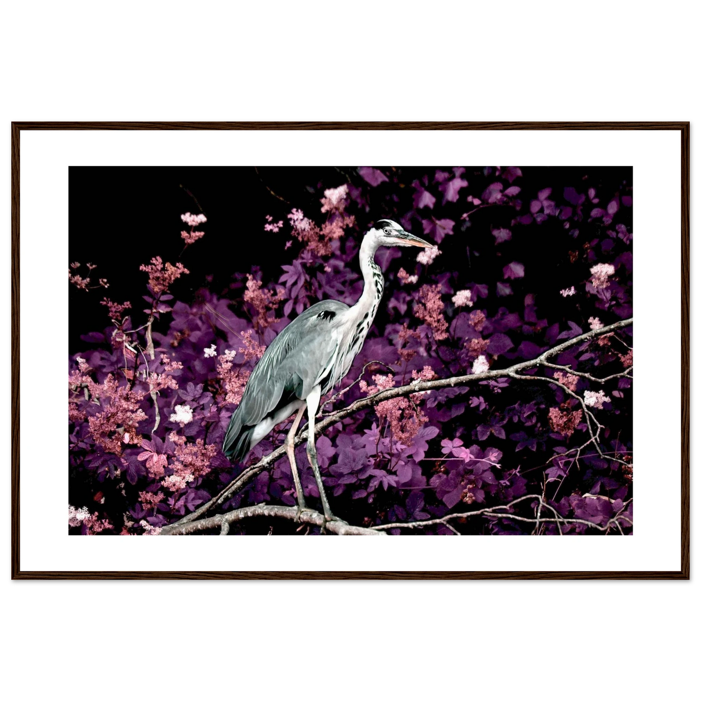 aec2e6dc-487c-4705-9de5-a38486144bc6