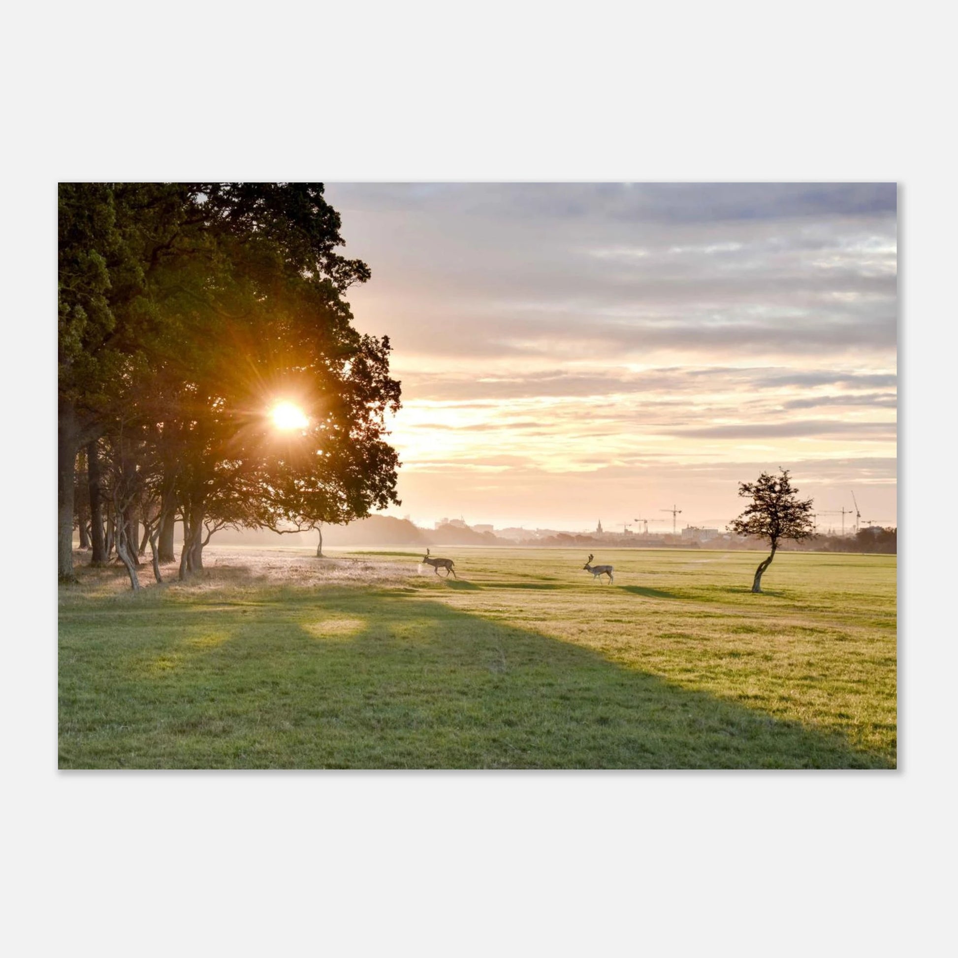 afec2384-effa-4677-bd96-aaa1a5ff757b