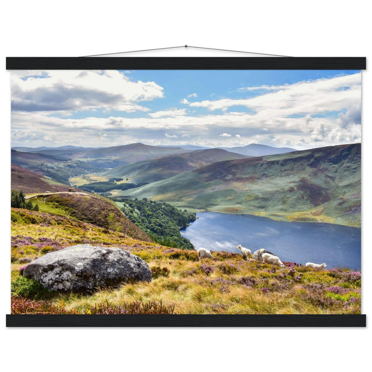 b001cf16-7a82-46d2-88c5-55e4d6cd4244