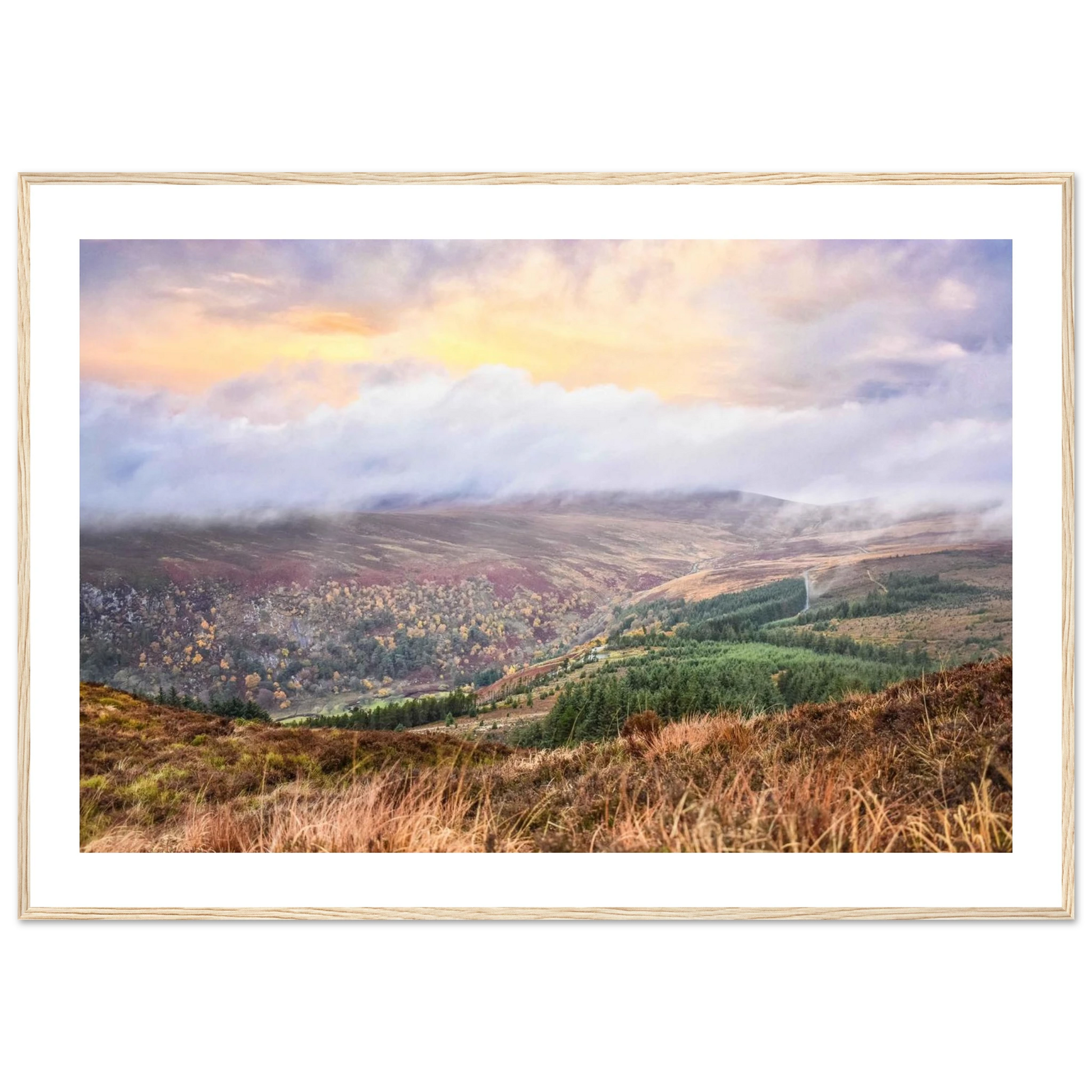 b02b520c-a049-472a-8842-06dba74e23f4