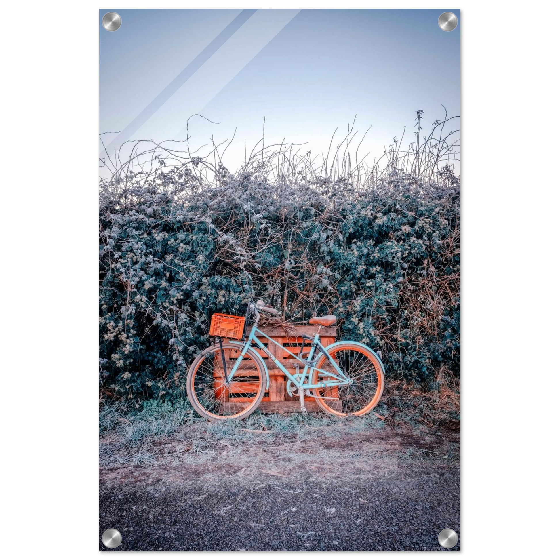 b041e935-faba-415e-81f9-118404666e84